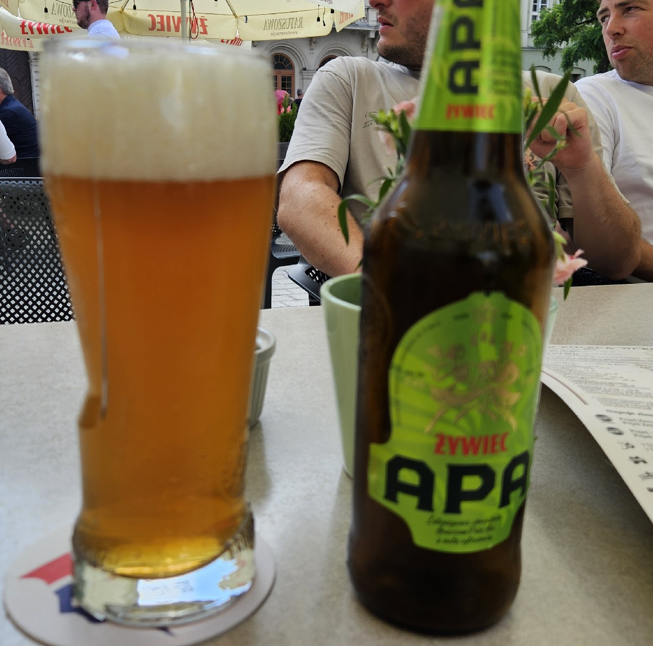 Żywiec APA, Grupa Żywiec (Heineken)