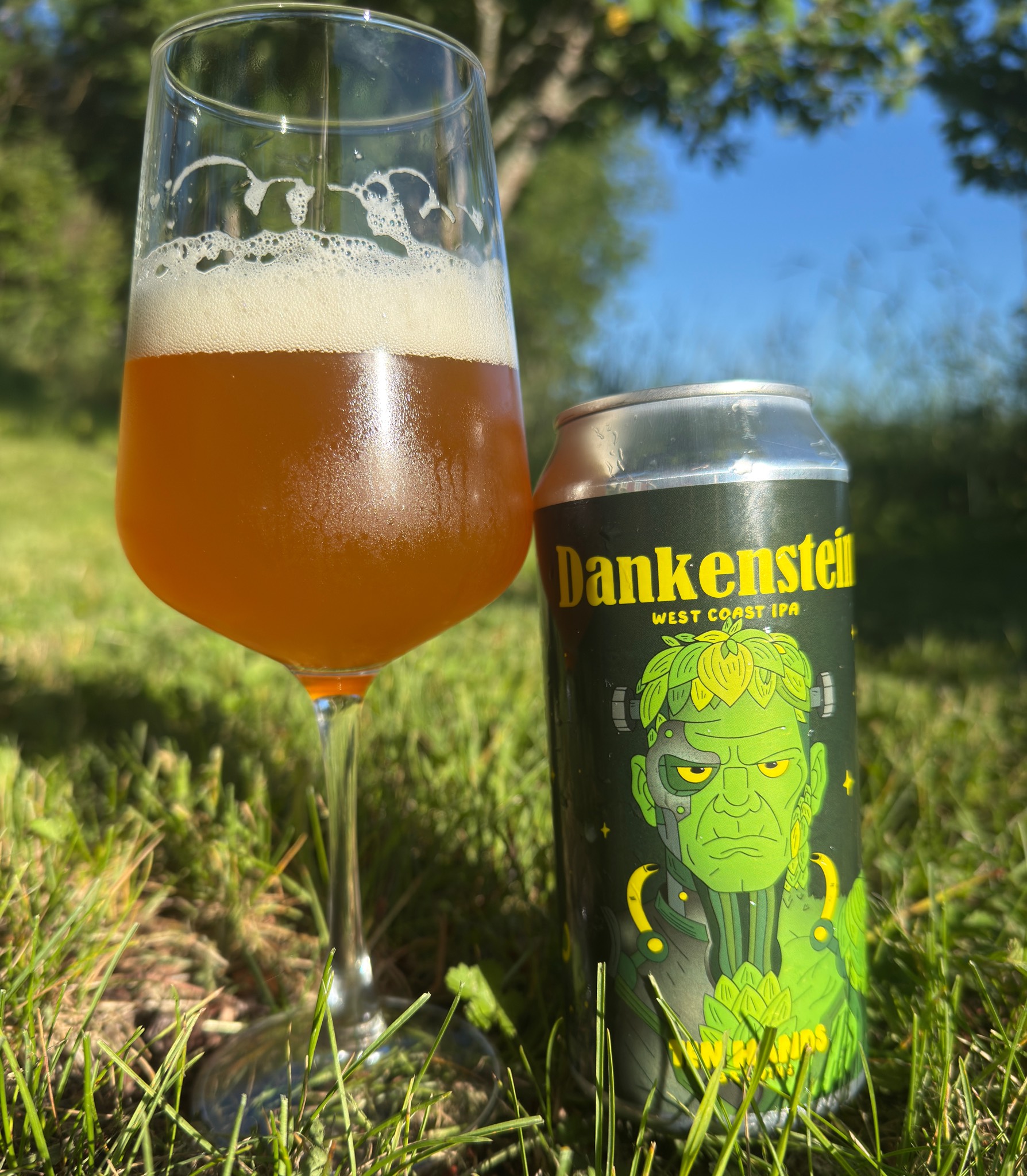 Dankenstein, Sweden