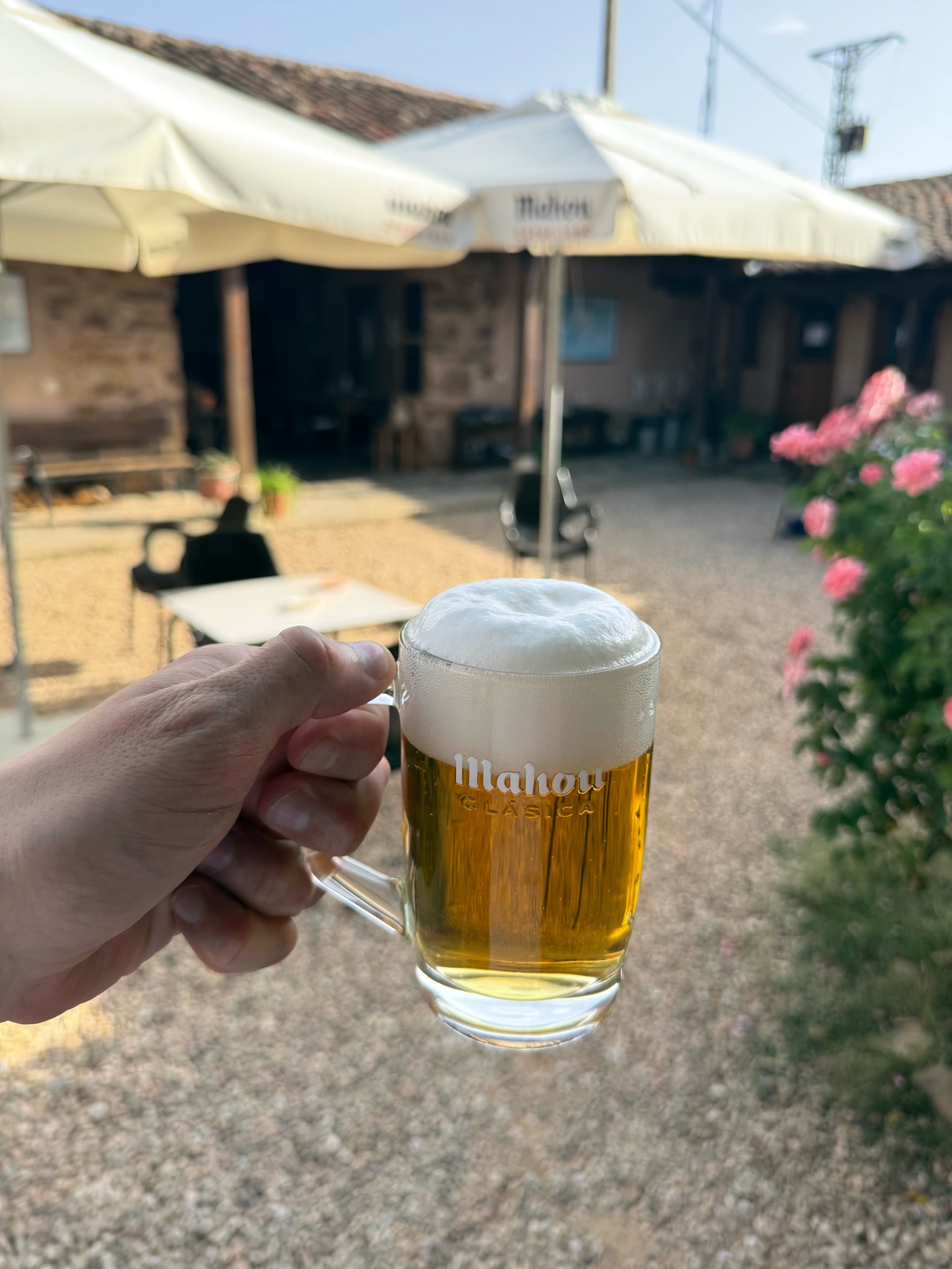 Mahou Clásica, Mahou (Grupo Mahou-San Miguel)