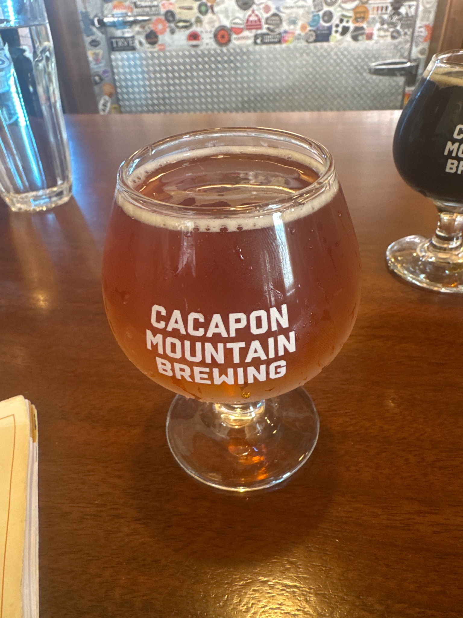Fossil finder, Cacapon mountain brewing co