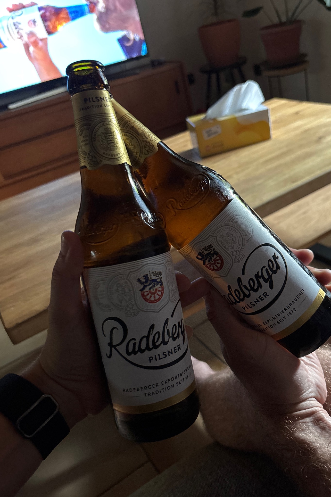 Radeberger Pilsner, Radeberger Gruppe