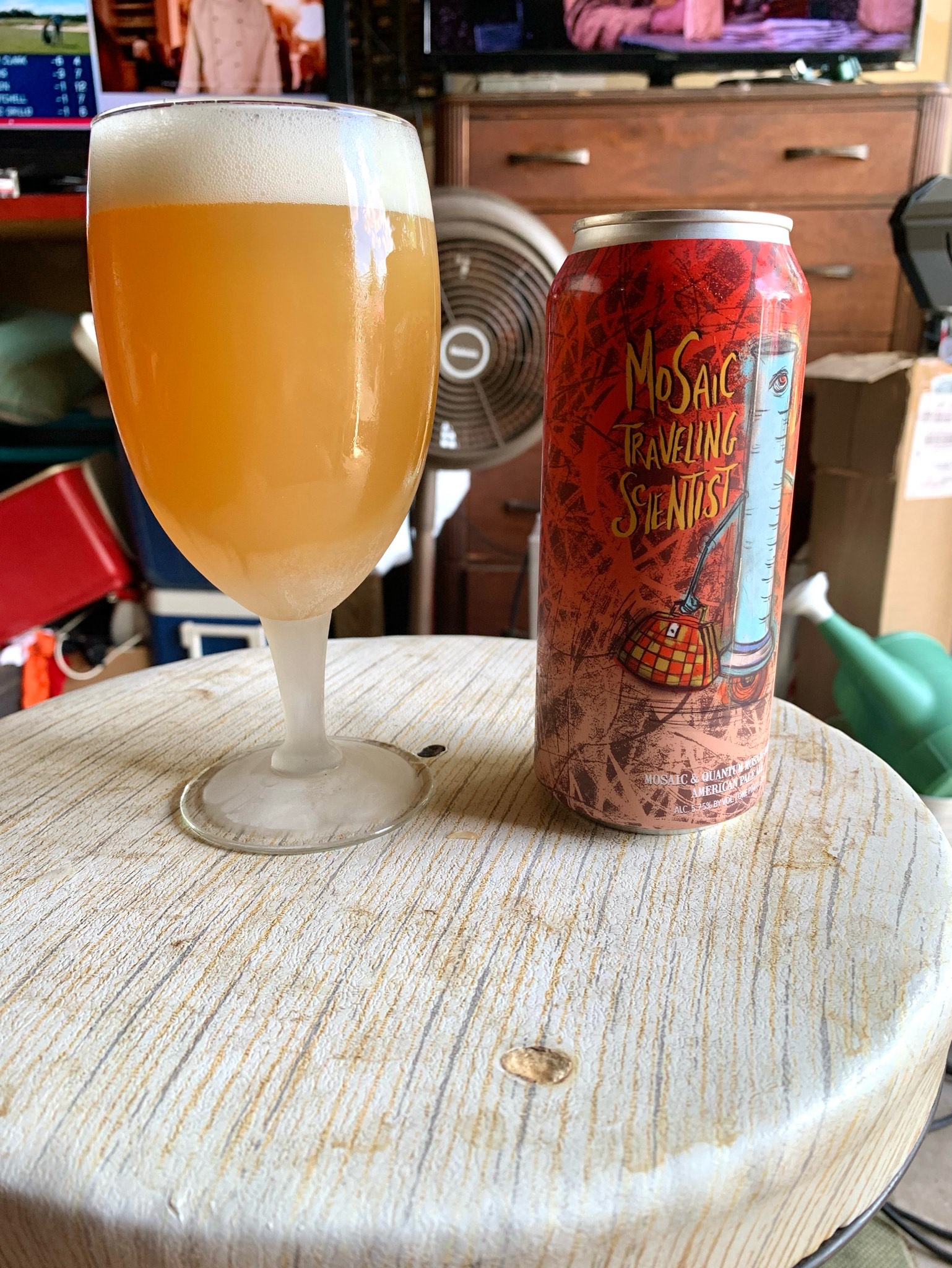 Mosaic Traveling Scientist, Hop Butcher For The World