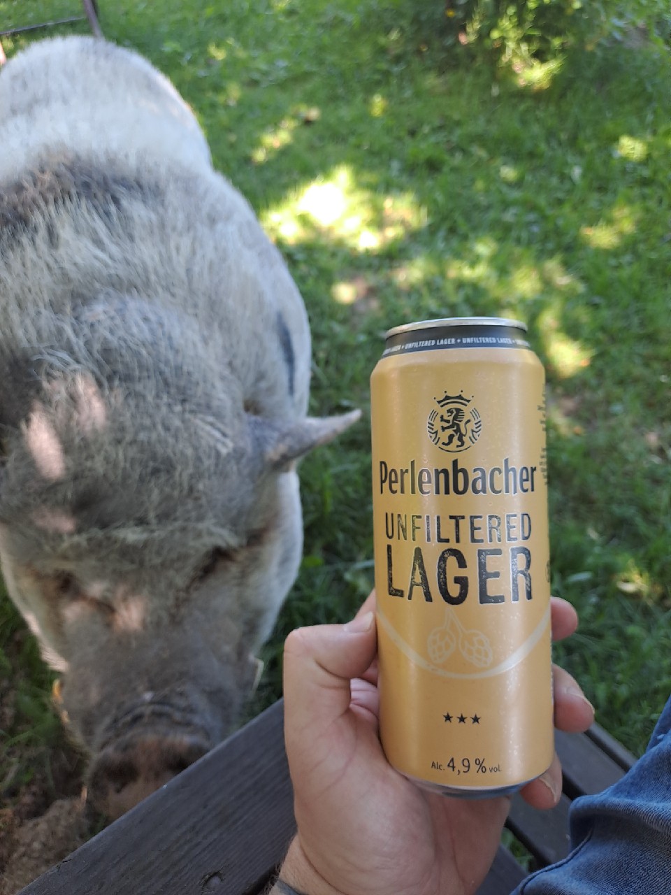 Perlenbacher Unfiltered Lager, Frankfurter Brauhaus (TCB Beverages)