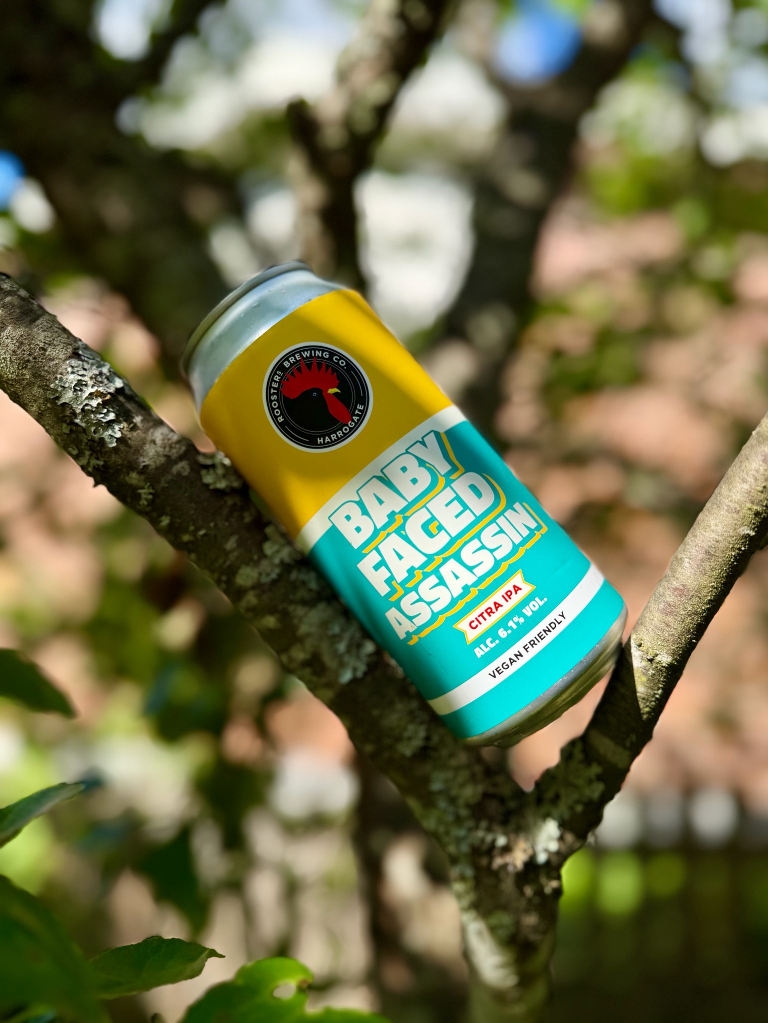 Baby-Faced Assassin, Rooster's Brewing Co.