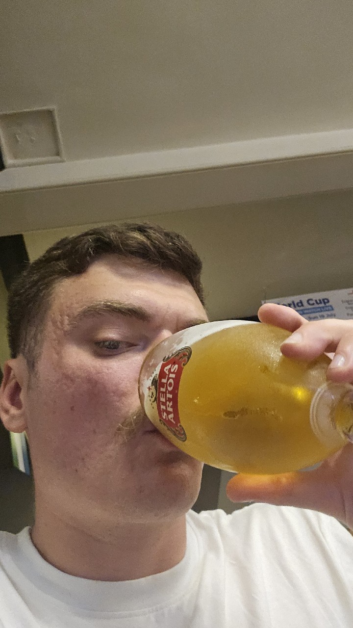 Stella Artois, Stella Artois (AB InBev)
