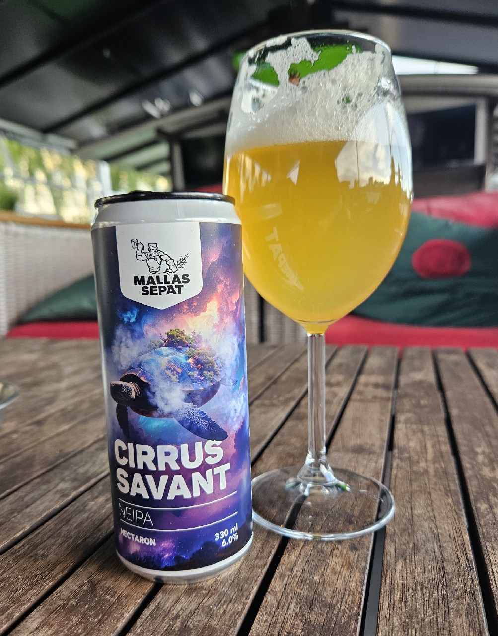 Cirrus Savant, Mallassepät