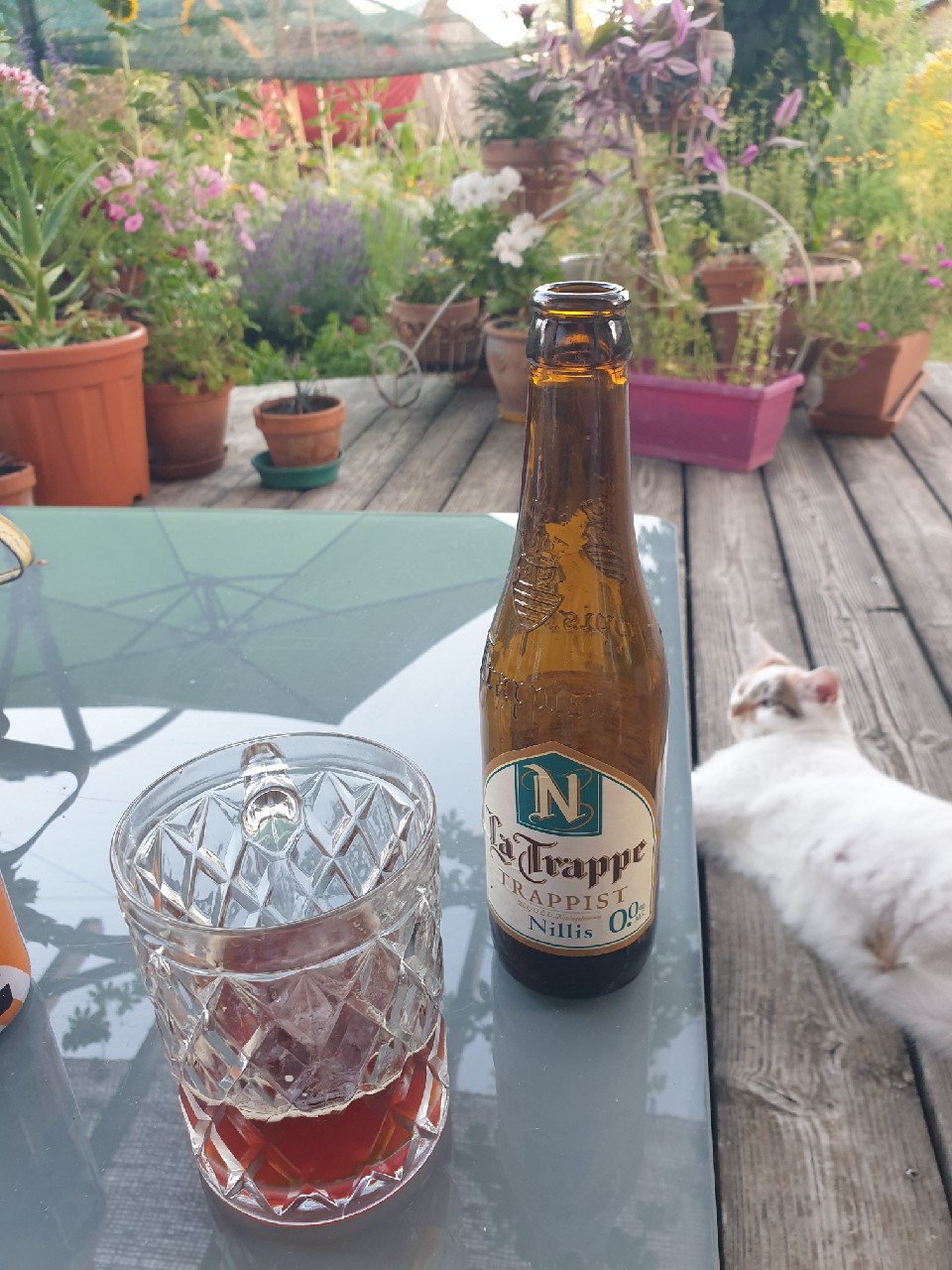 La Trappe Nillis, La Trappe Trappist - Abdij O.L.V. Koningshoeven