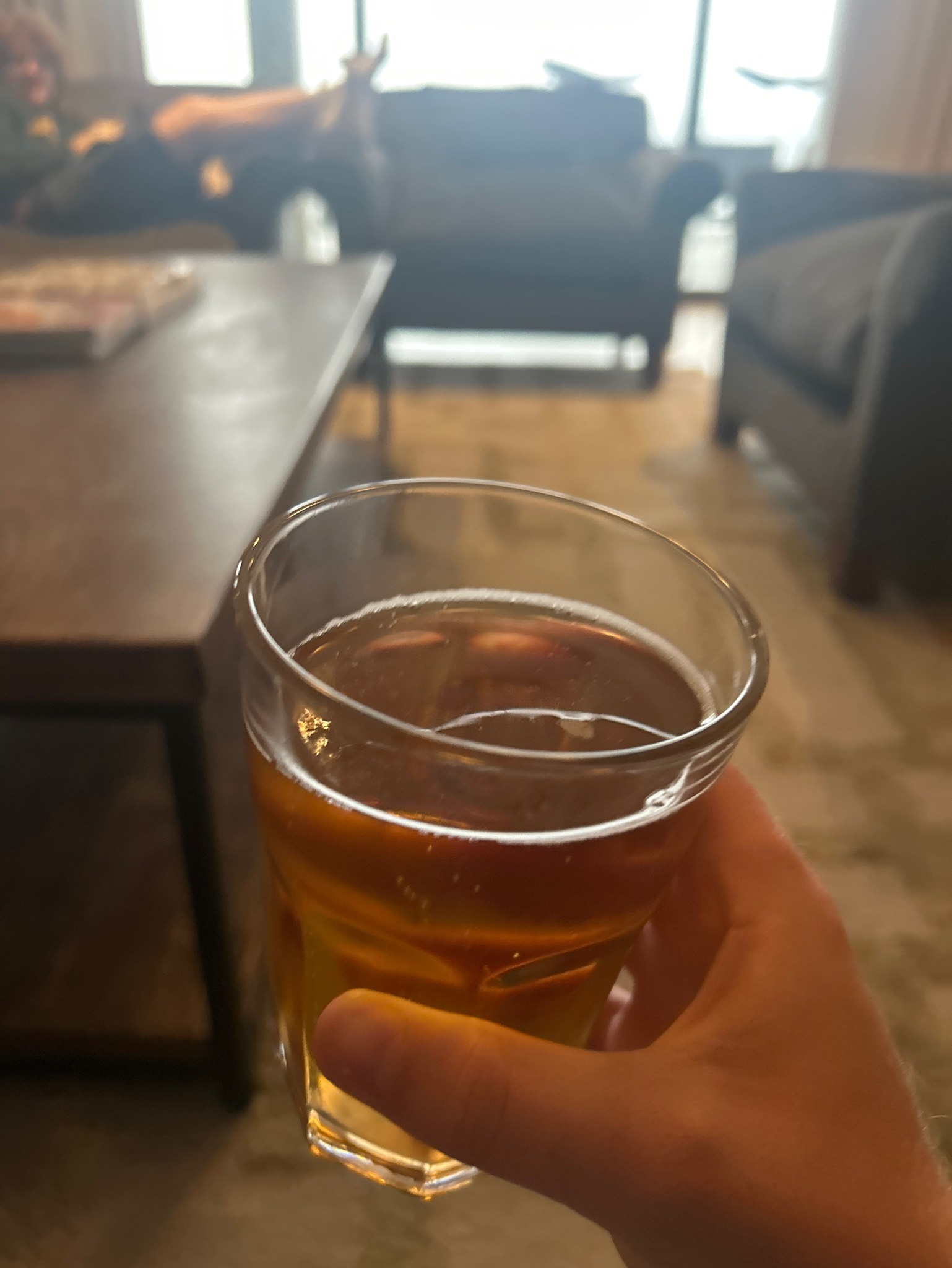 Hansa Pilsener, South African Breweries (SABMiller)