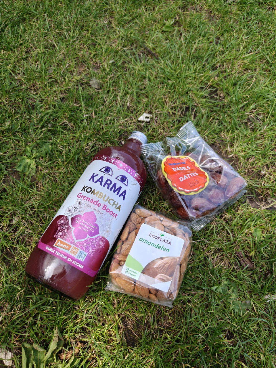 Karma Kombucha Grenade Boost, France