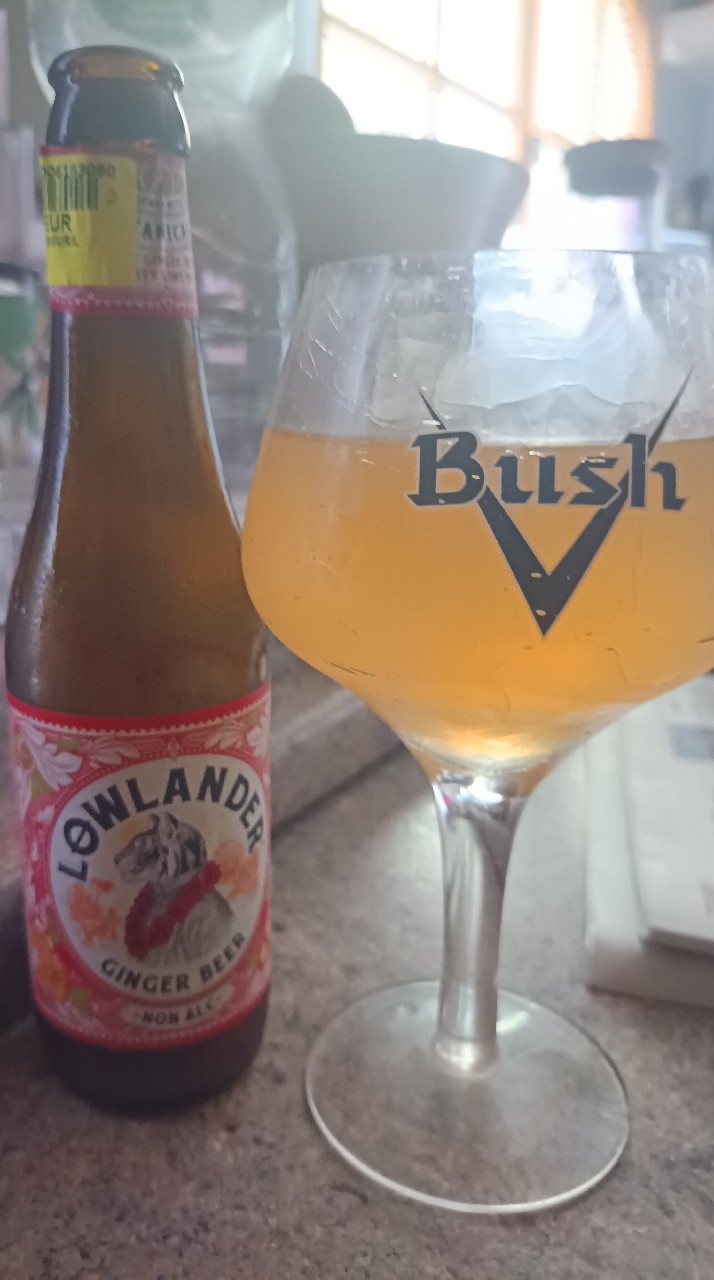 Lowlander Ginger Beer Non Alc, Netherlands