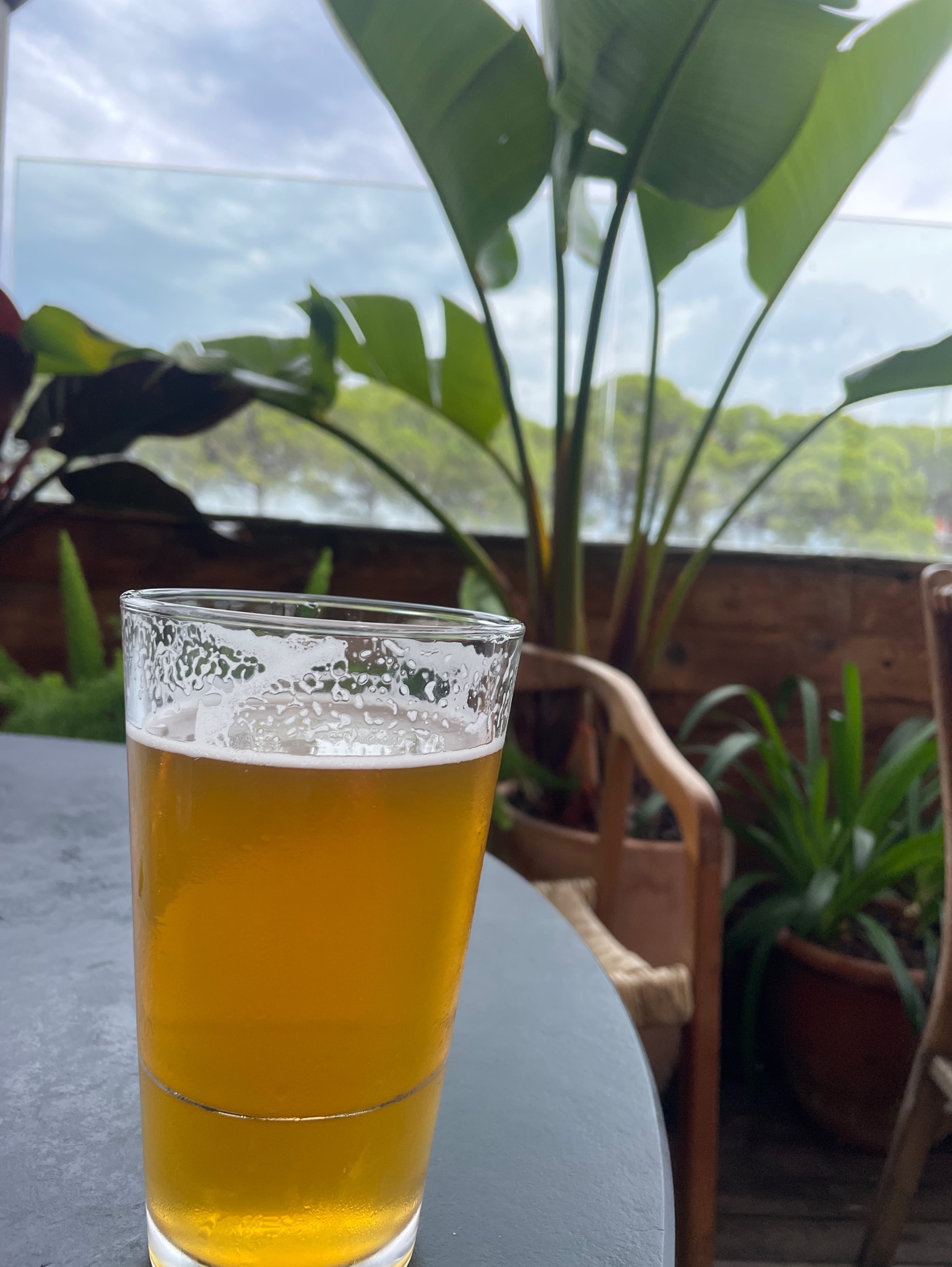 Browers lager craft beer, Fabrica de Cervejas Portuense