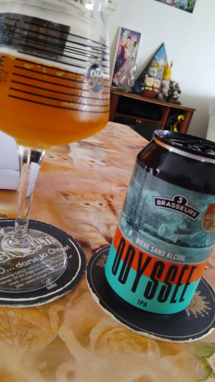 Odyssée, Les 3 Brasseurs / The 3 Brewers Lille
