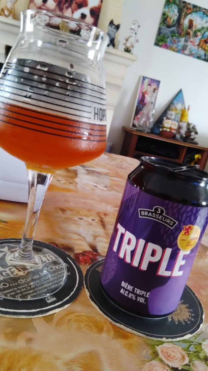 3 Brasseurs Triple, France