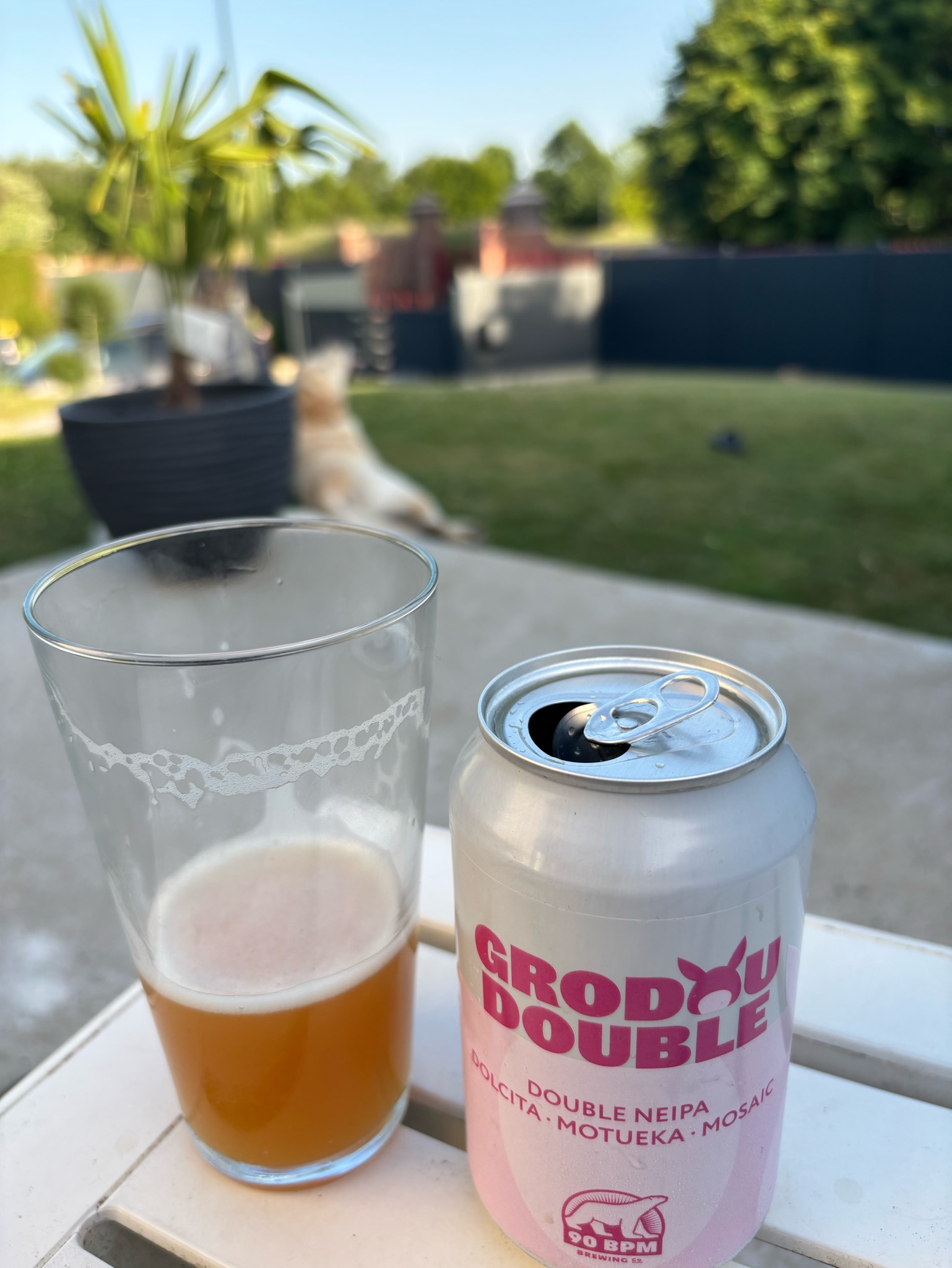 Grodoudouble IPA, 90 BPM Brewing Co.