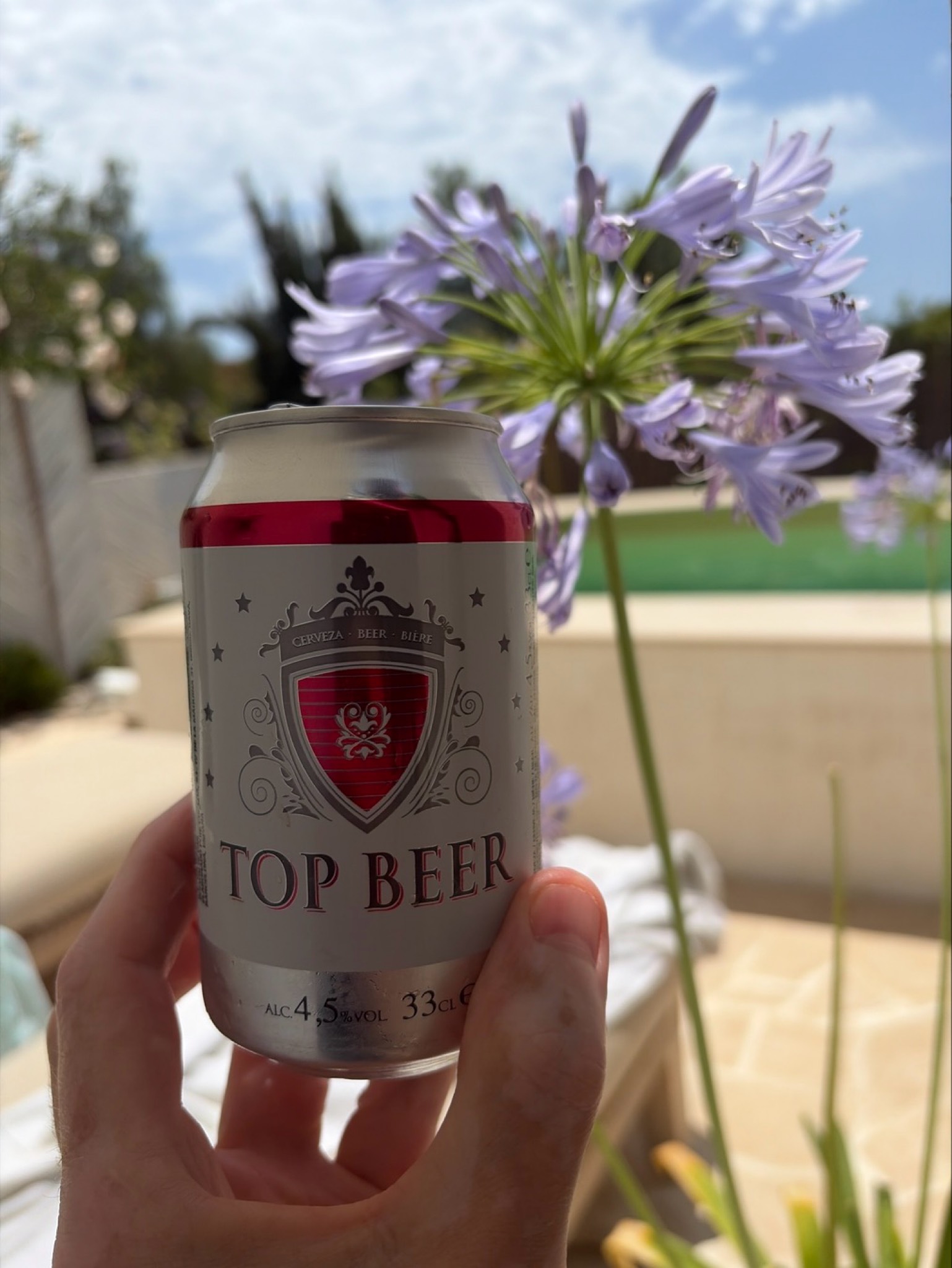 Top Beer, Font Salem Portugal (Damm)