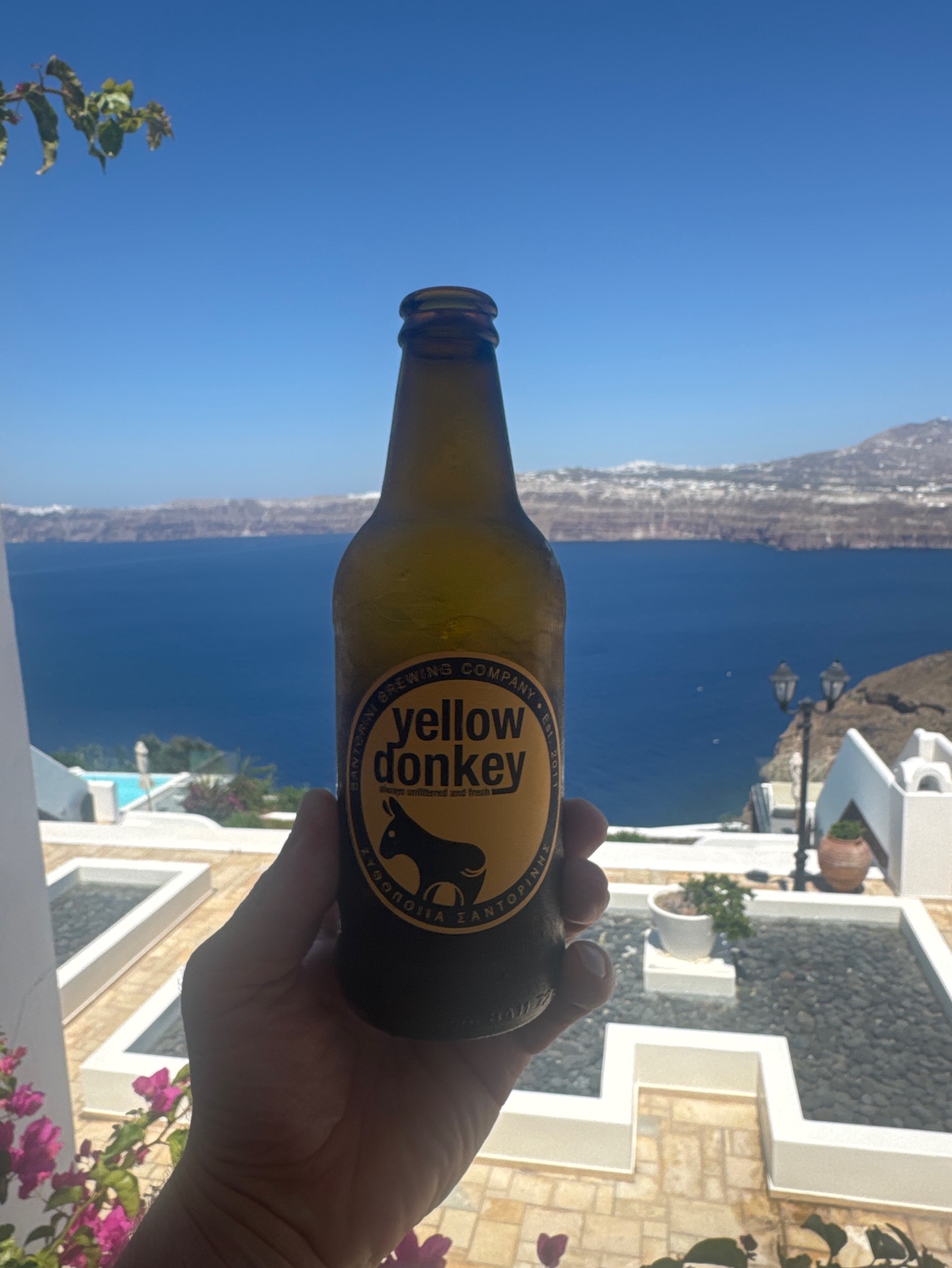 Yellow Donkey, Donkey Santorini Brewing Company