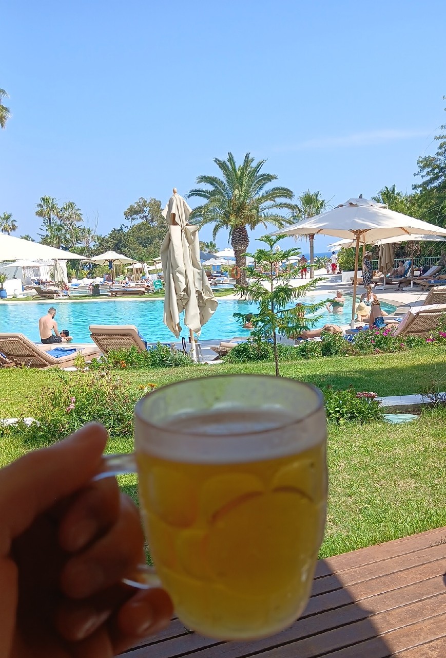 Celtia / سلتيا, Société Frigorifique et Brasserie de Tunis (SFBT)