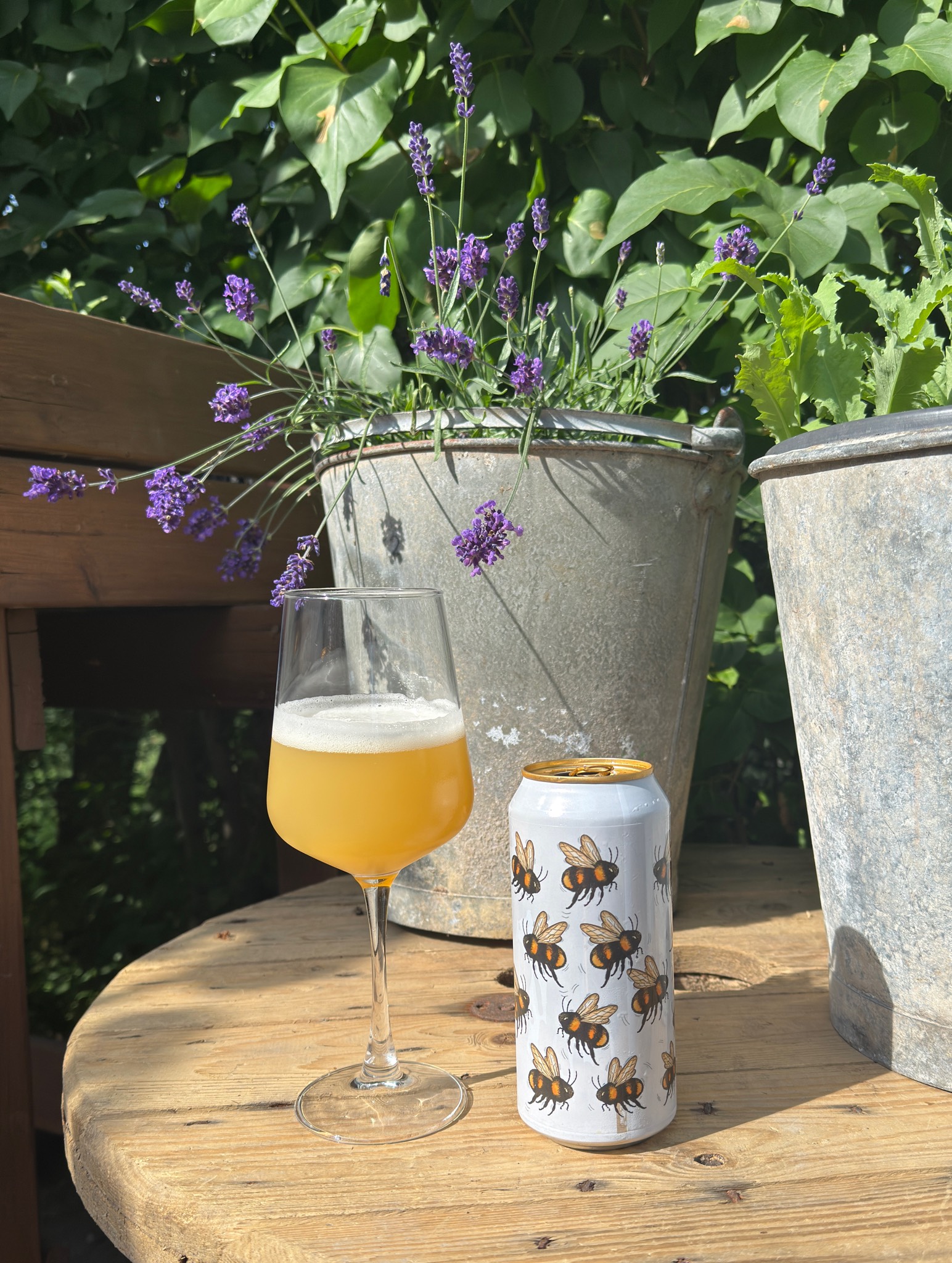 Golden buzz, Fermenterarna