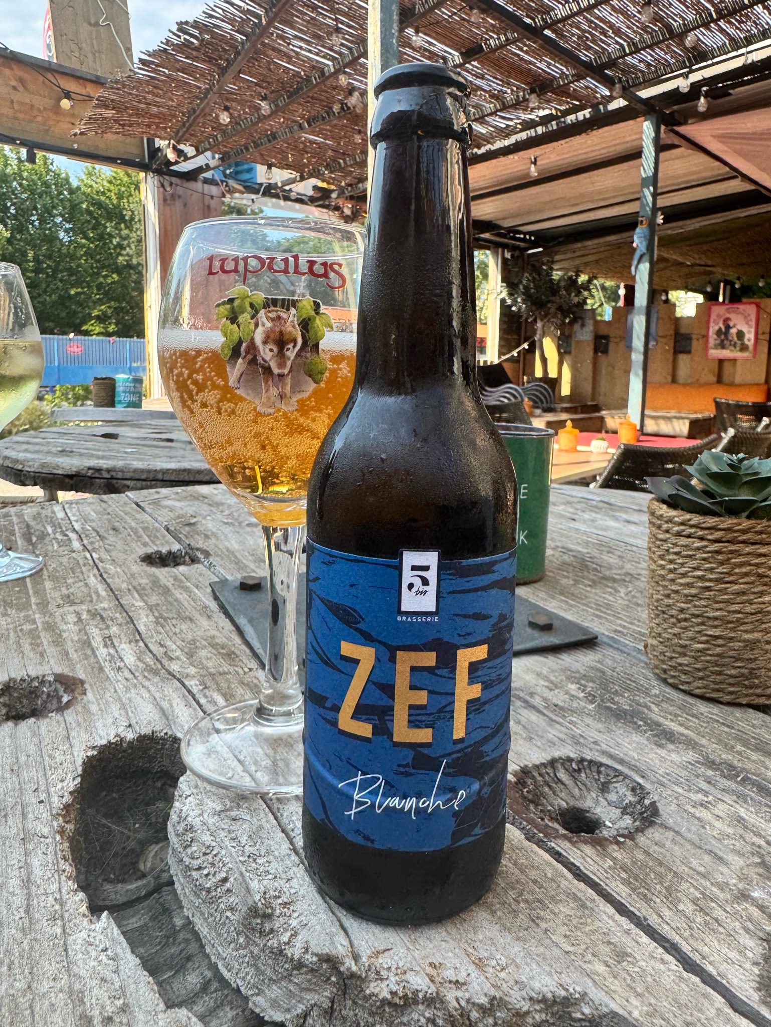 ZEF Blonde, Brasserie Du 5 Bis