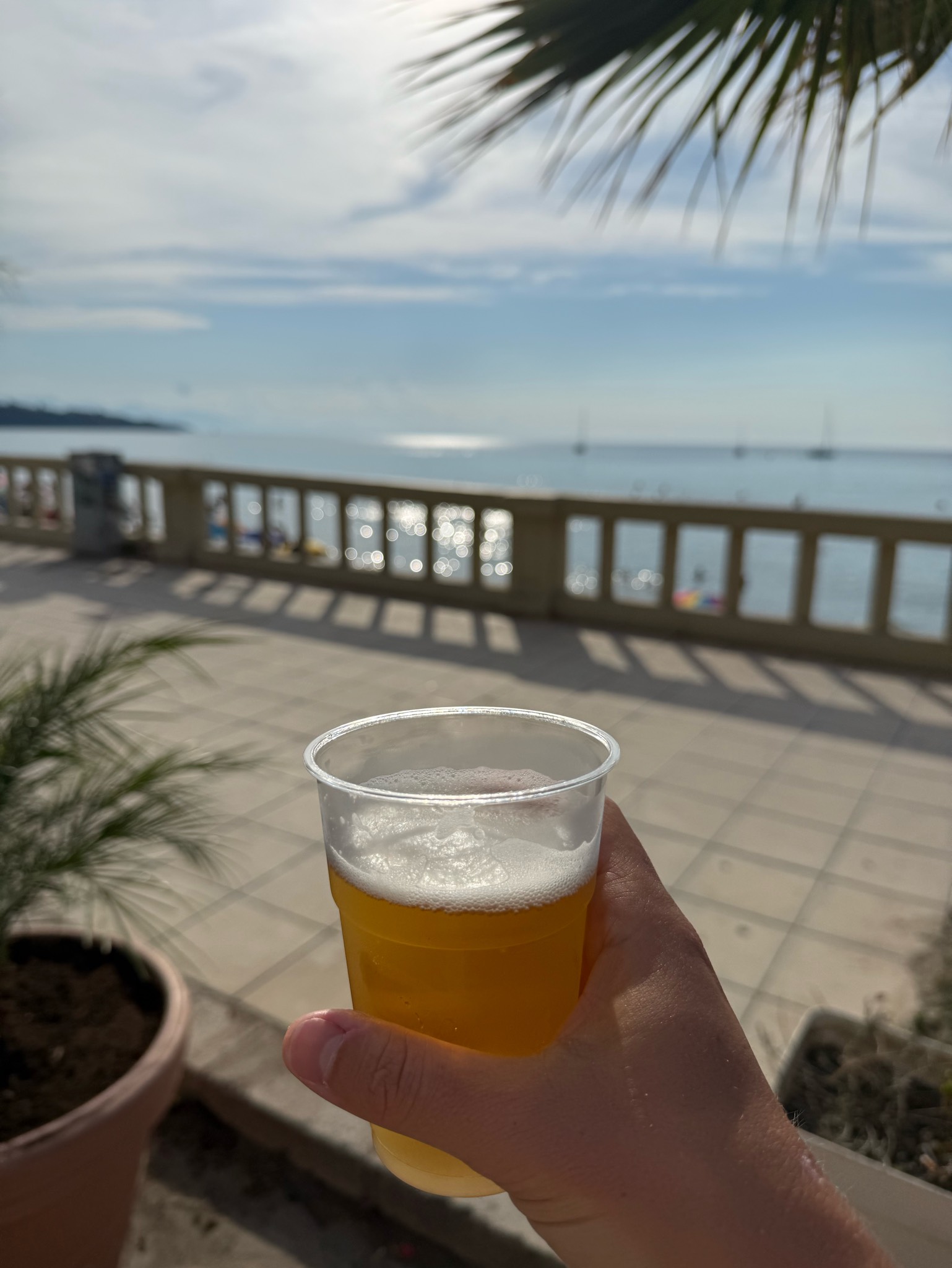 Chinaschi IPA, Azienda agricola Francesco Puma