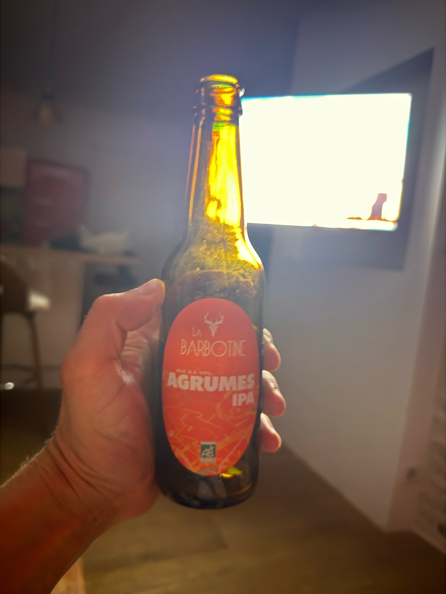 La Barbotine Agrumes IPA, France