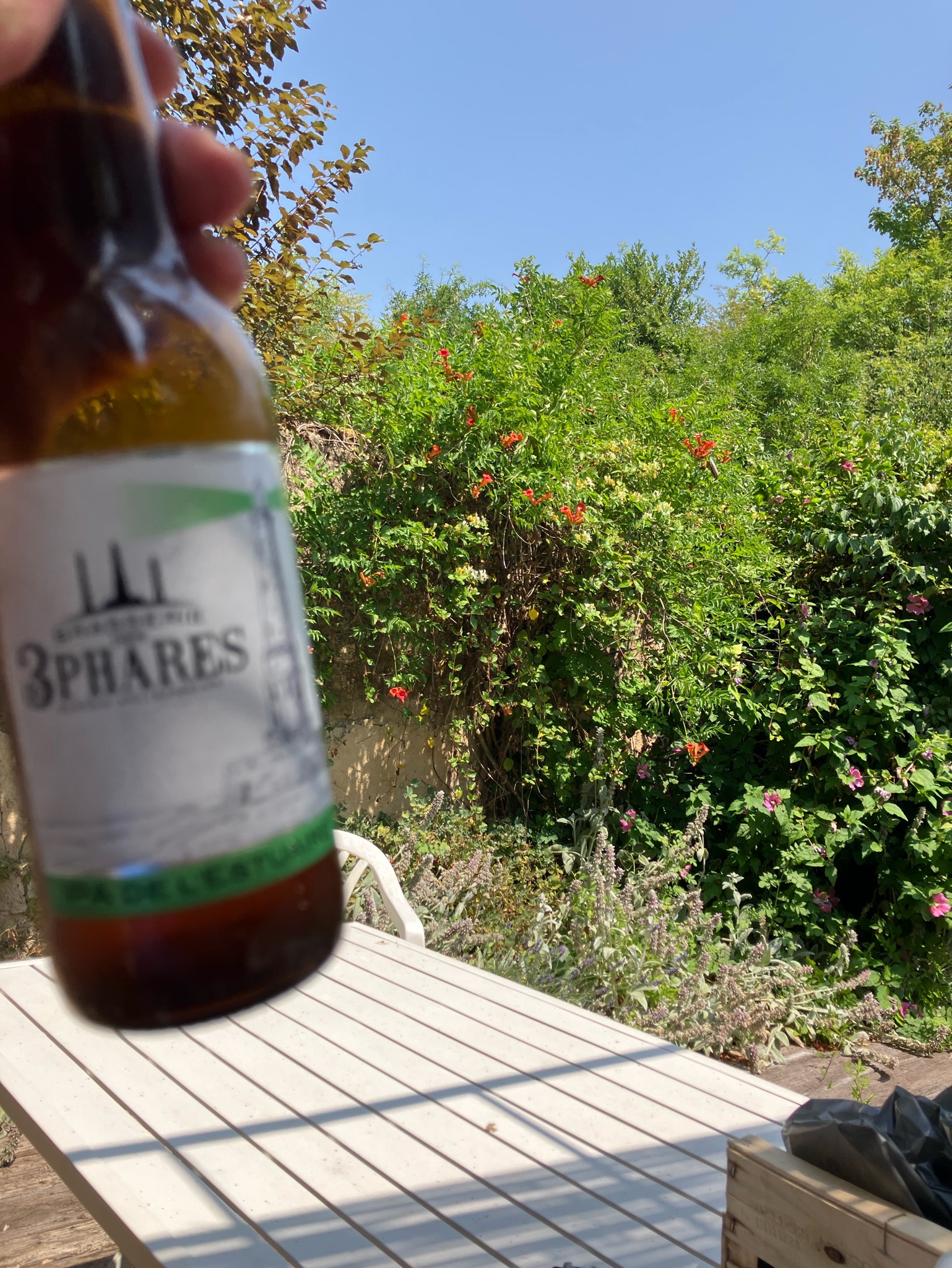 IPA De L'Estuaire, France