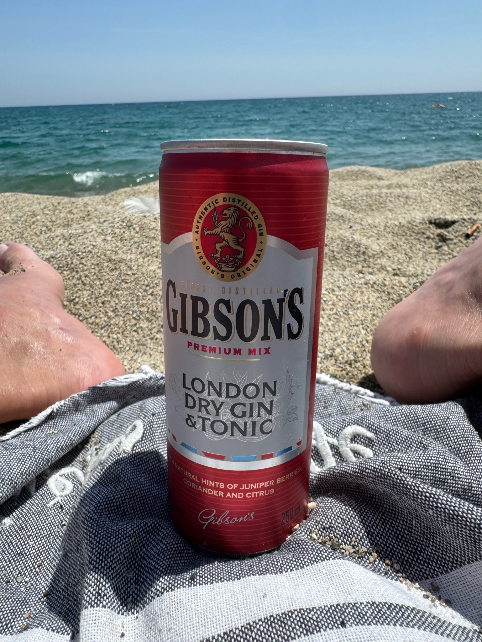 Gibson's London Dry Gin & Tonic, France