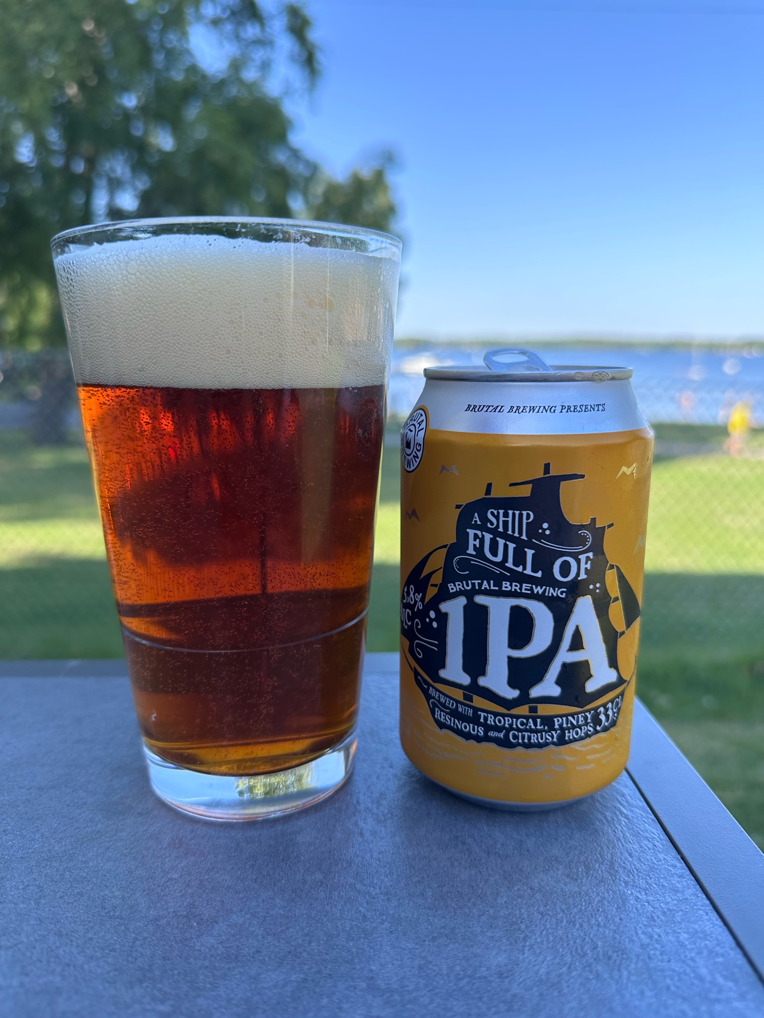 A Ship Full of IPA 5.8%, Sweden
