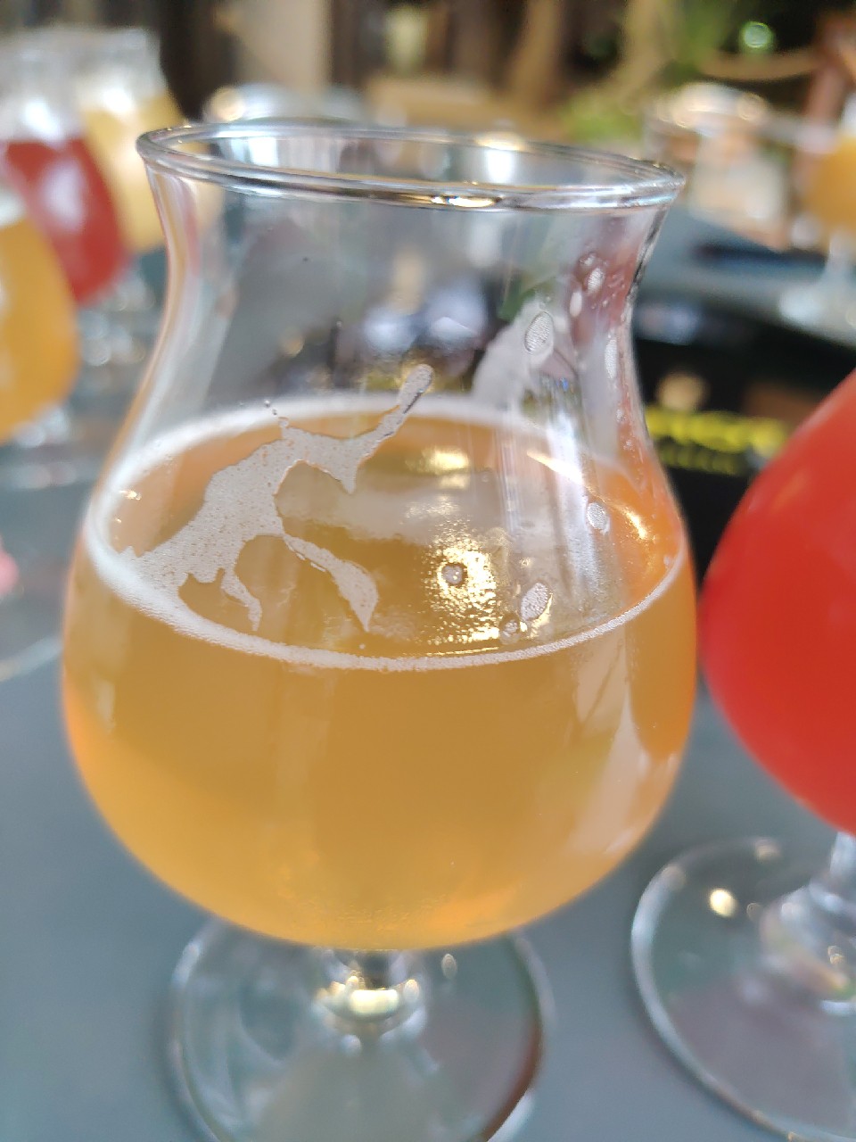 The Stonewall Inn IPA, United States