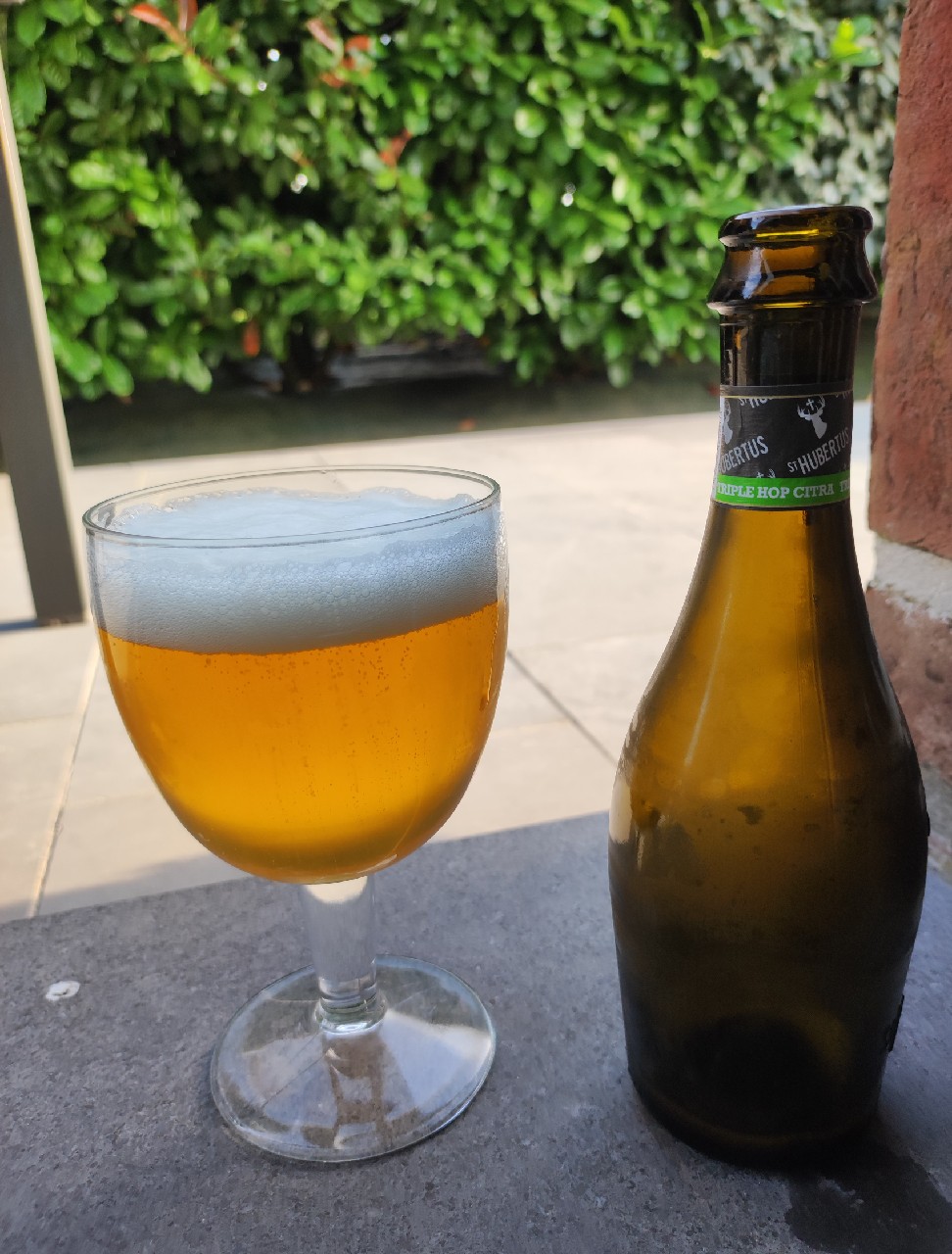 Triple Hop Citra, St. Hubertus (Carlsberg Group)