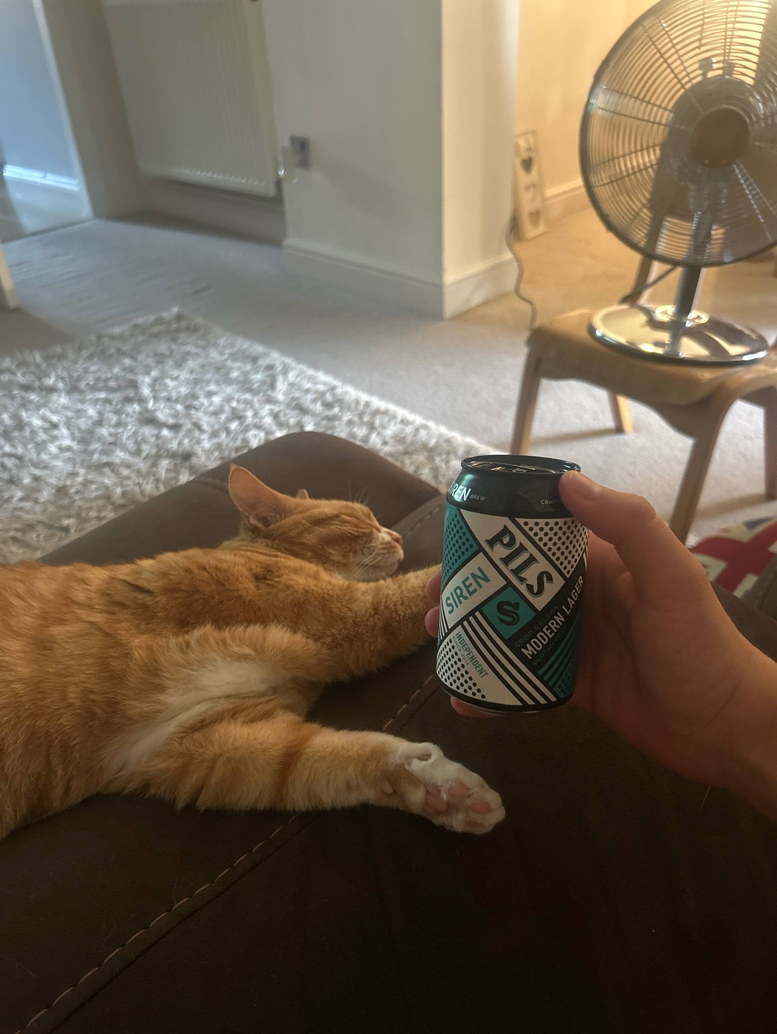 Pils - Modern Lager, England
