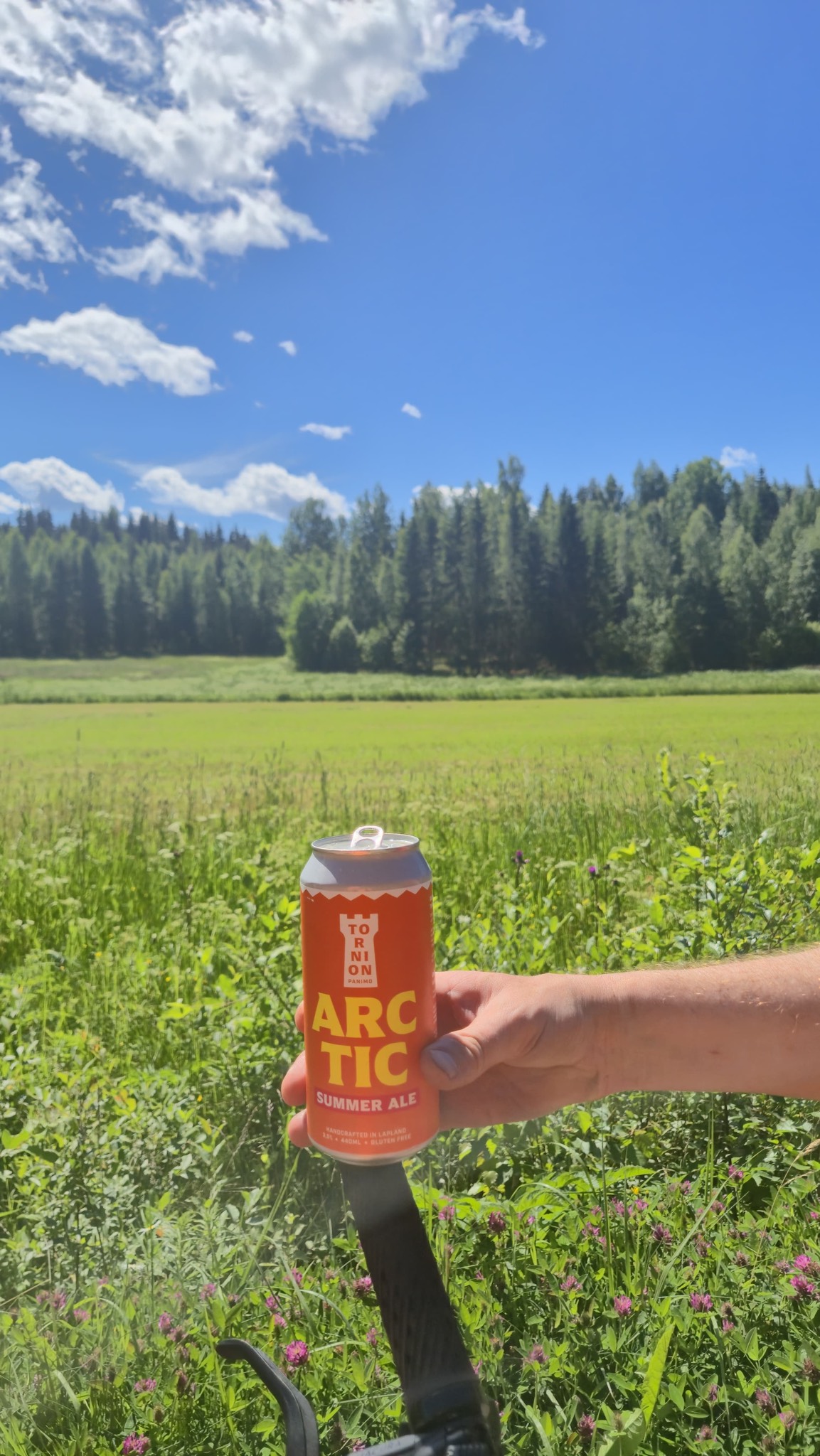 Arctic Summer Ale, Tornion Panimo