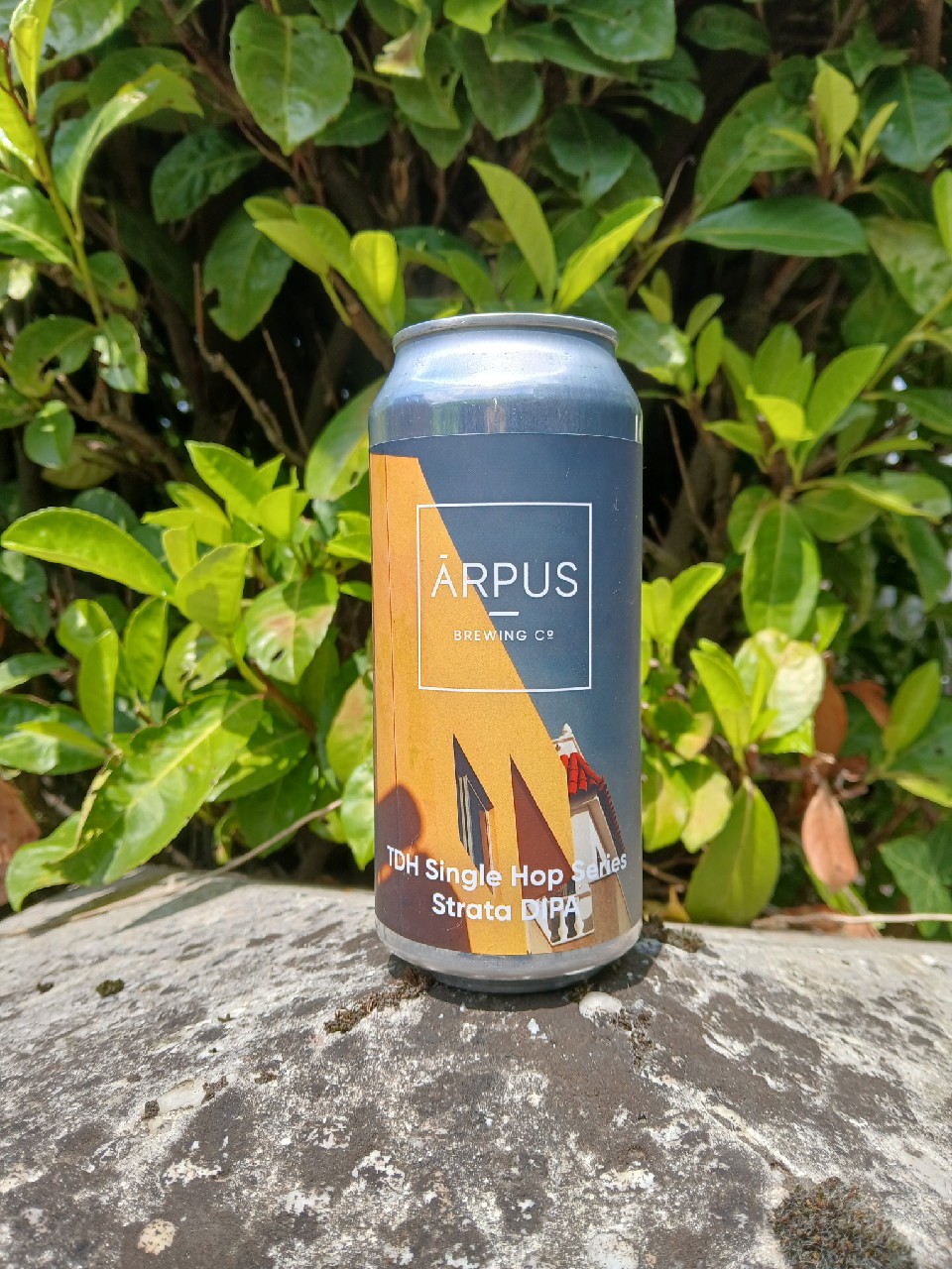 TDH Single Hop Series Strata DIPA, Latvia
