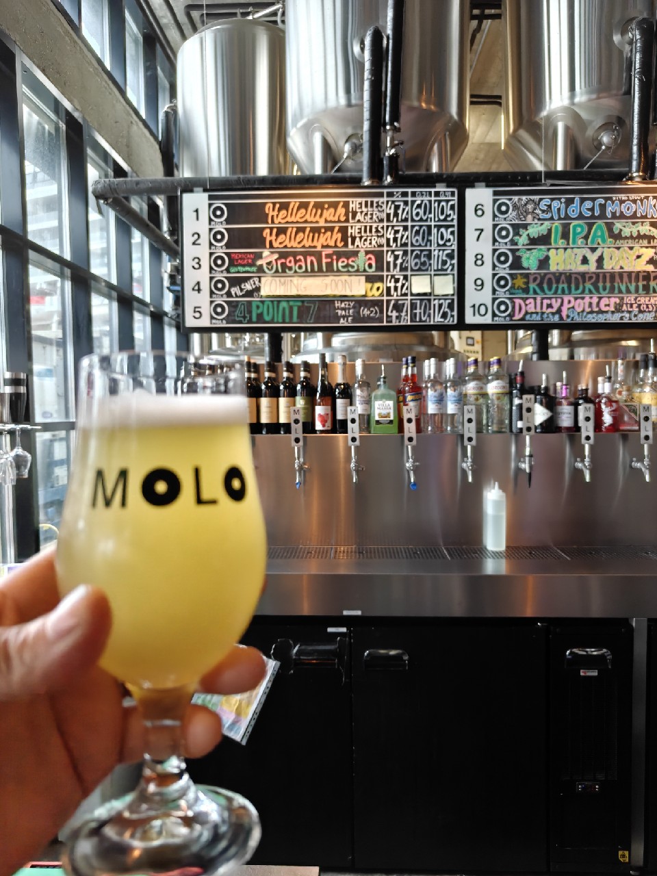 Hazy Dayz, Molo Brew