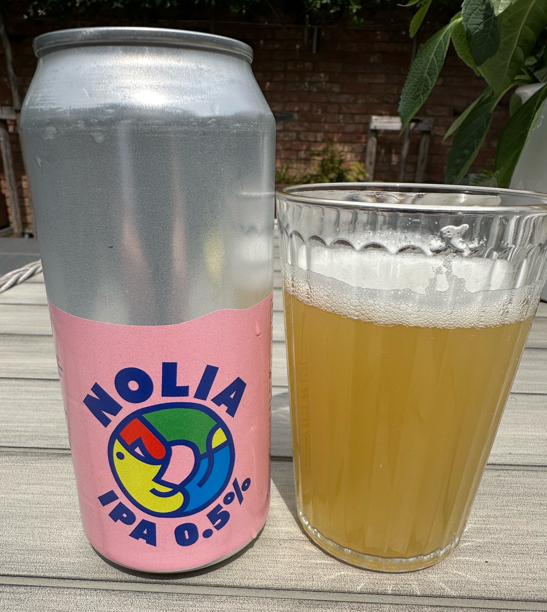 Nolia, Nolia