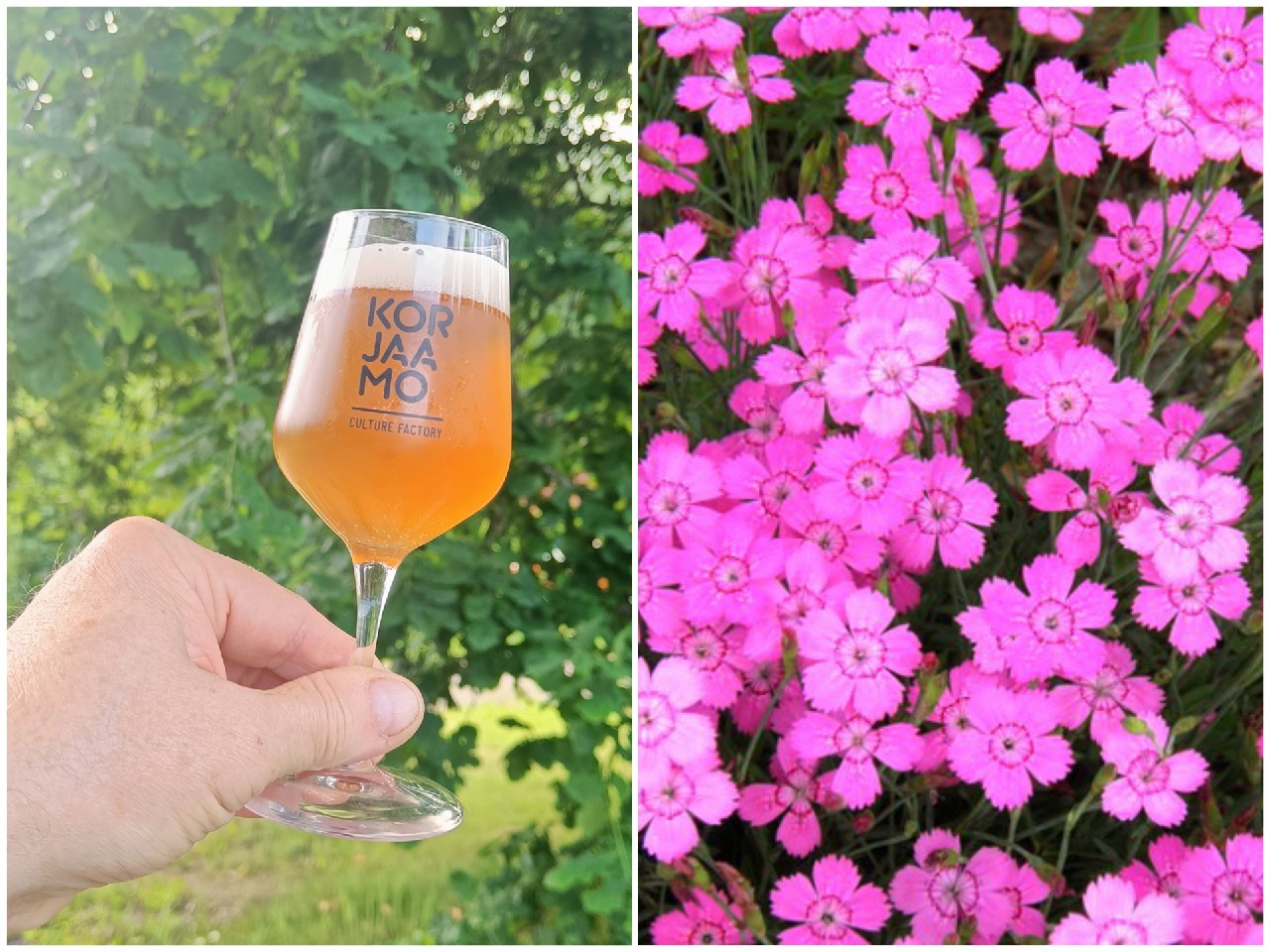 Small Beer: Maiden Pink, Teva Brew