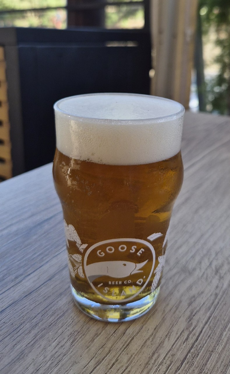 Goose, Cerveza Goose S.L