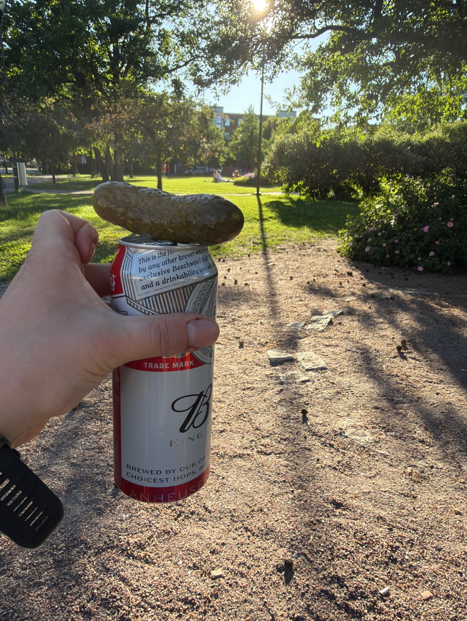 Budweiser / Bud, Anheuser-Busch InBev