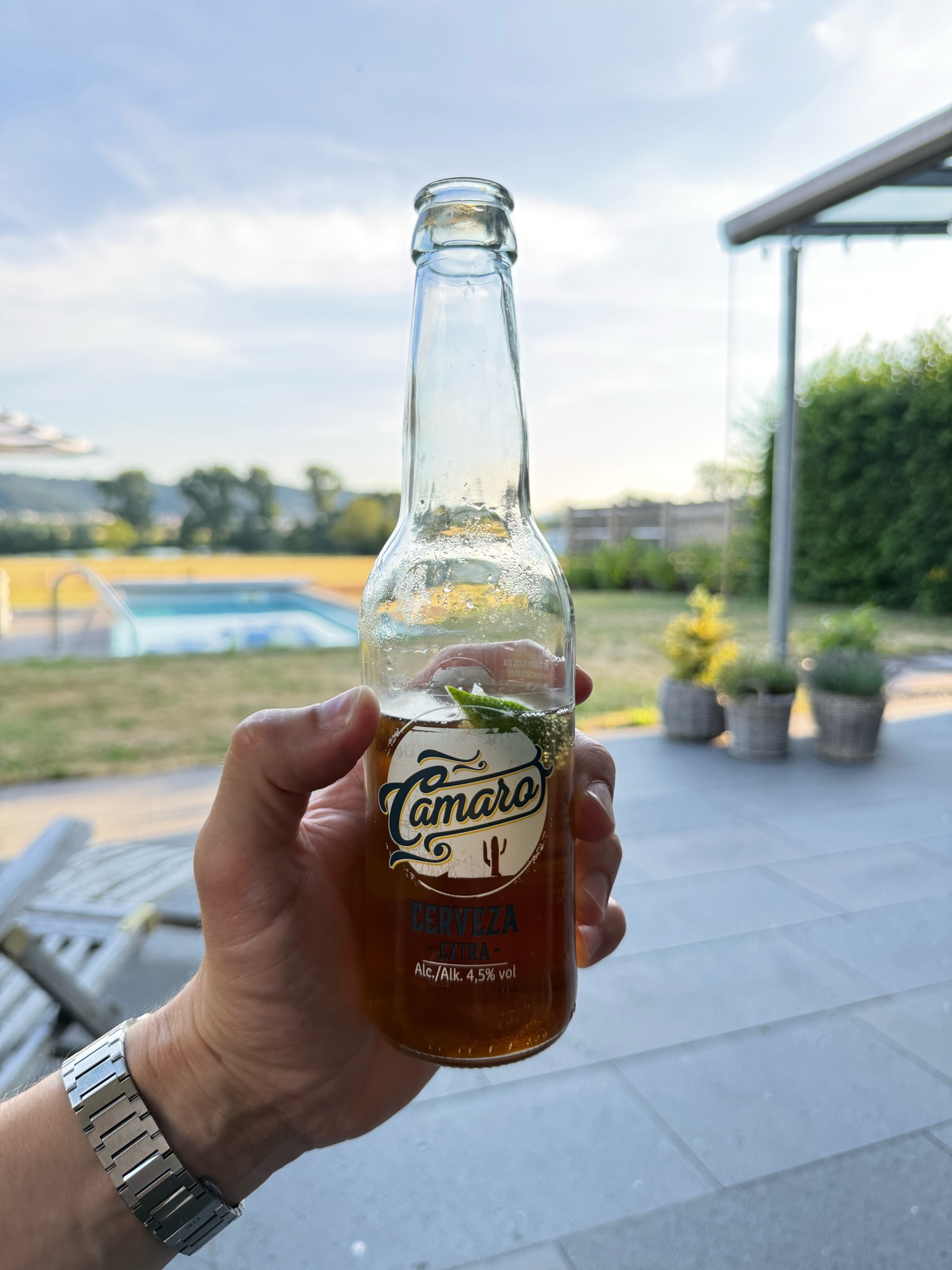 Argus Camaro Cerveza, France
