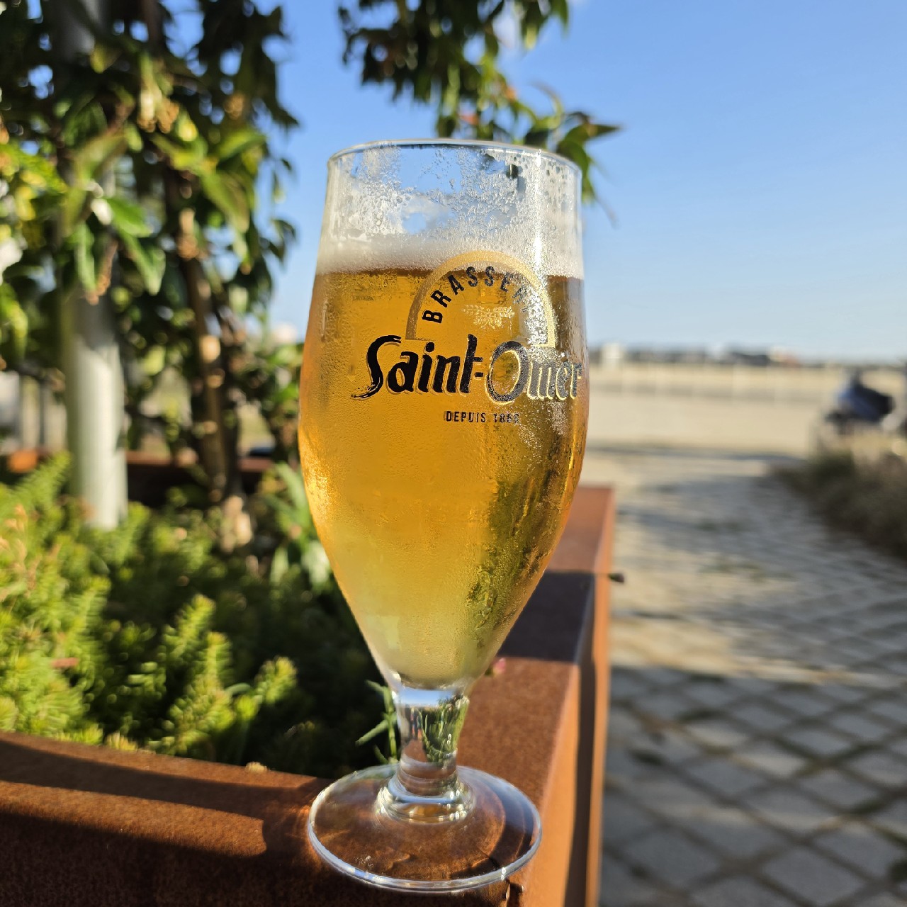 Saint-Omer Blonde, France