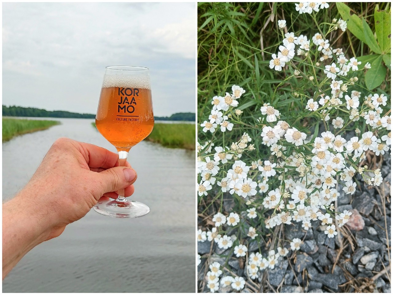 Small Beer: Sneezewort, Teva Brew