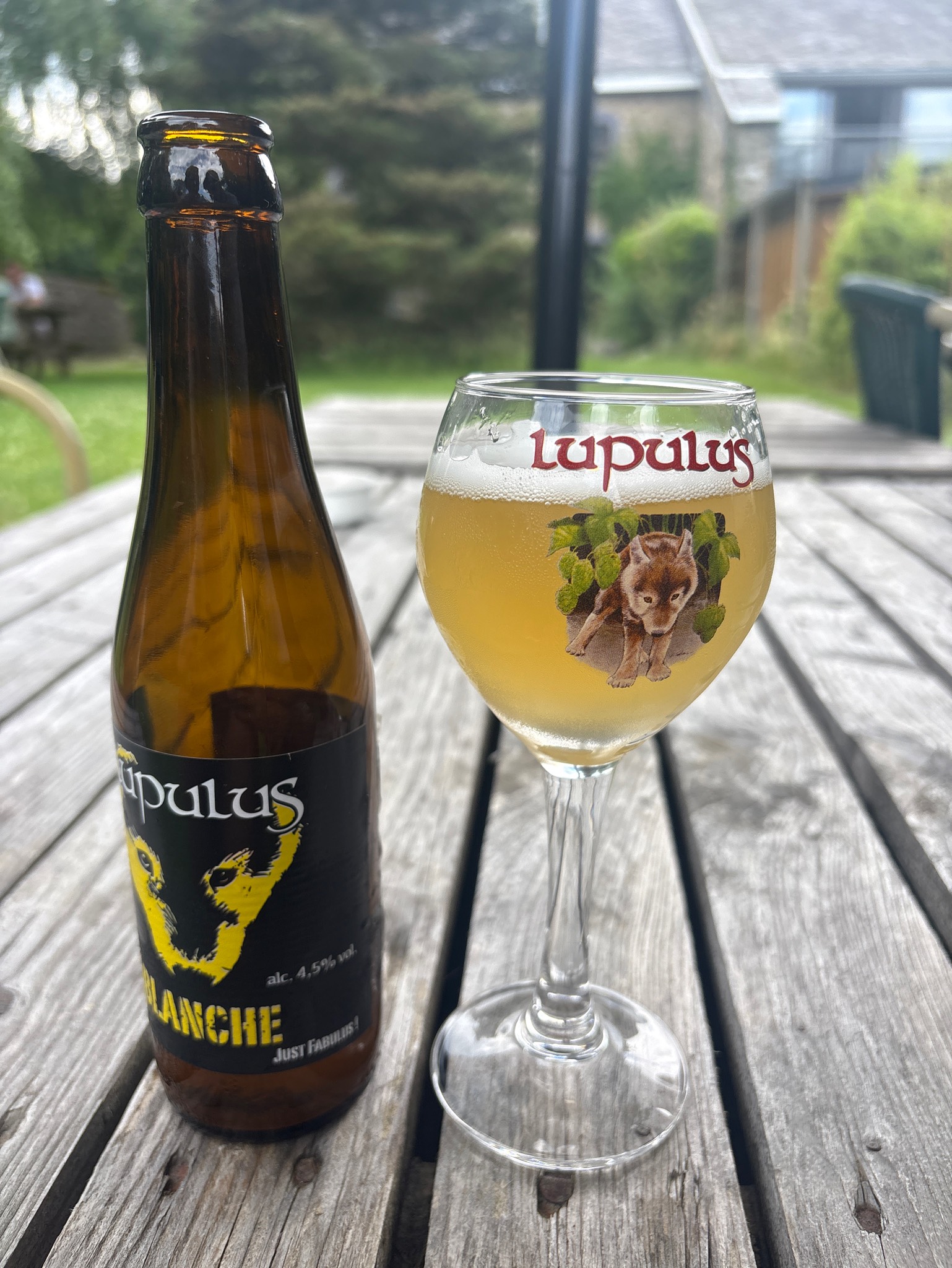 Lupulus Blanche, Belgium