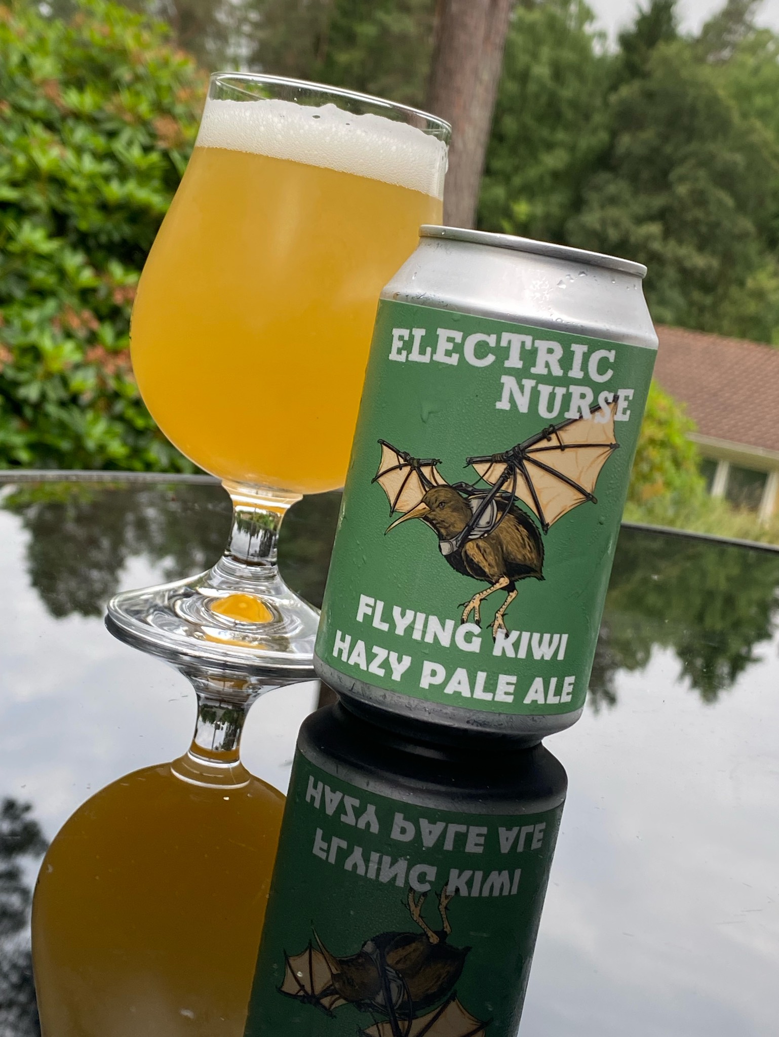Flying Kiwi, Electric Nurse