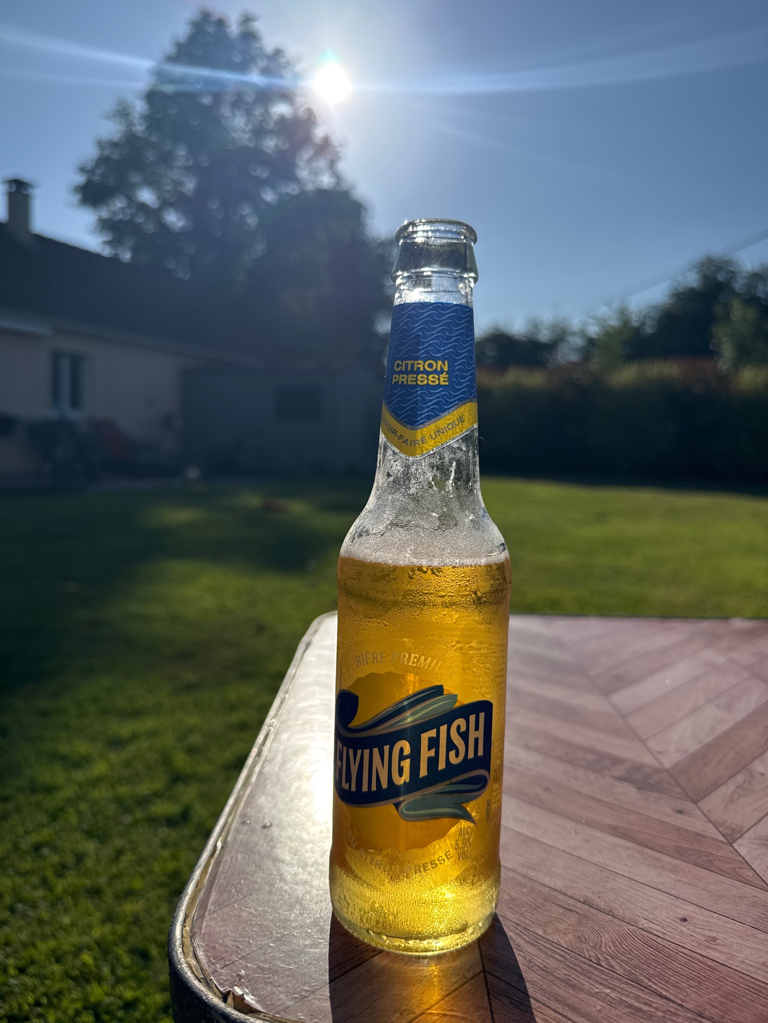 Flying Fish, Fire Island Organic Craft Beer