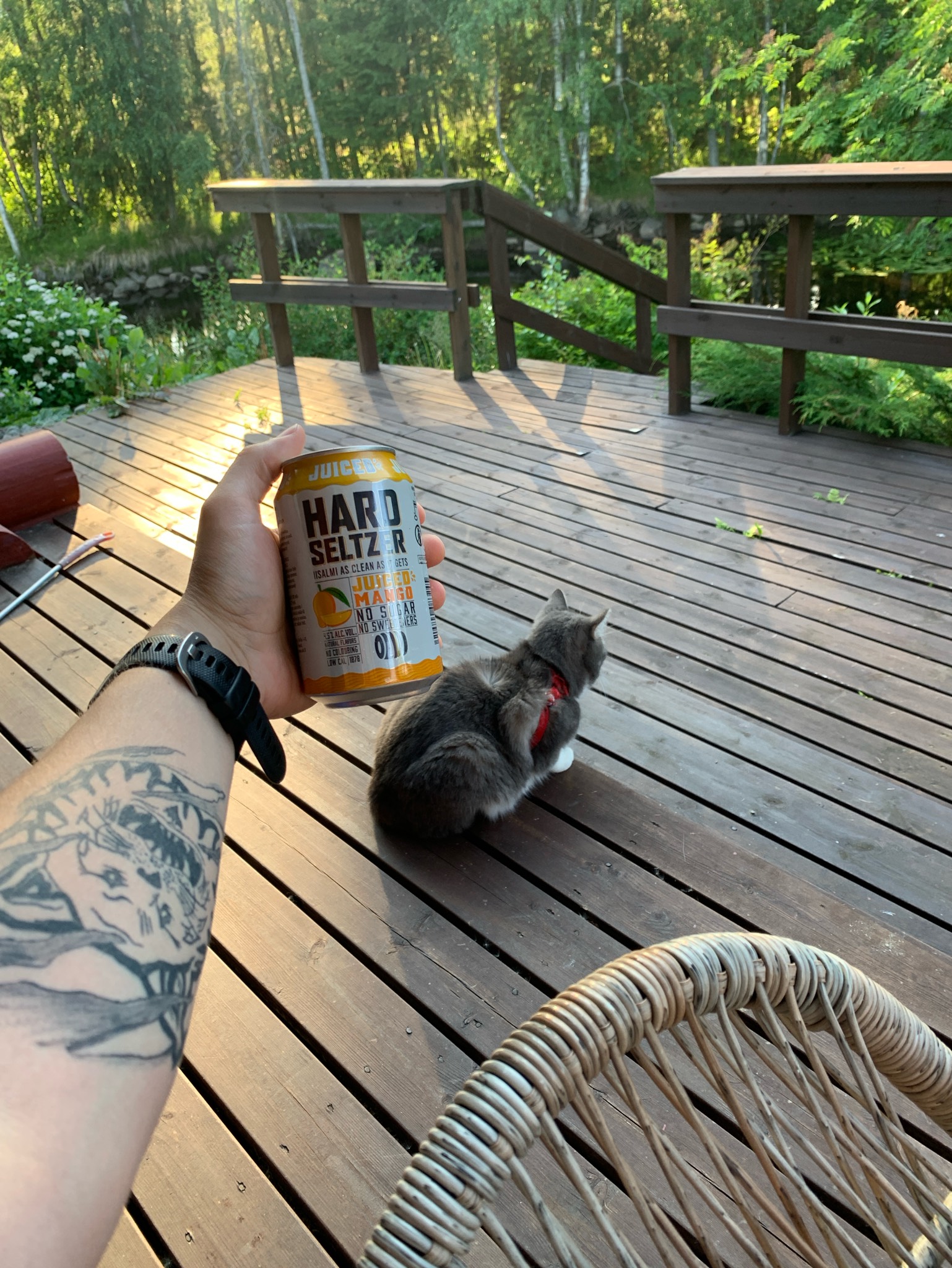 Hard Seltzer Juiced Mango, Finland