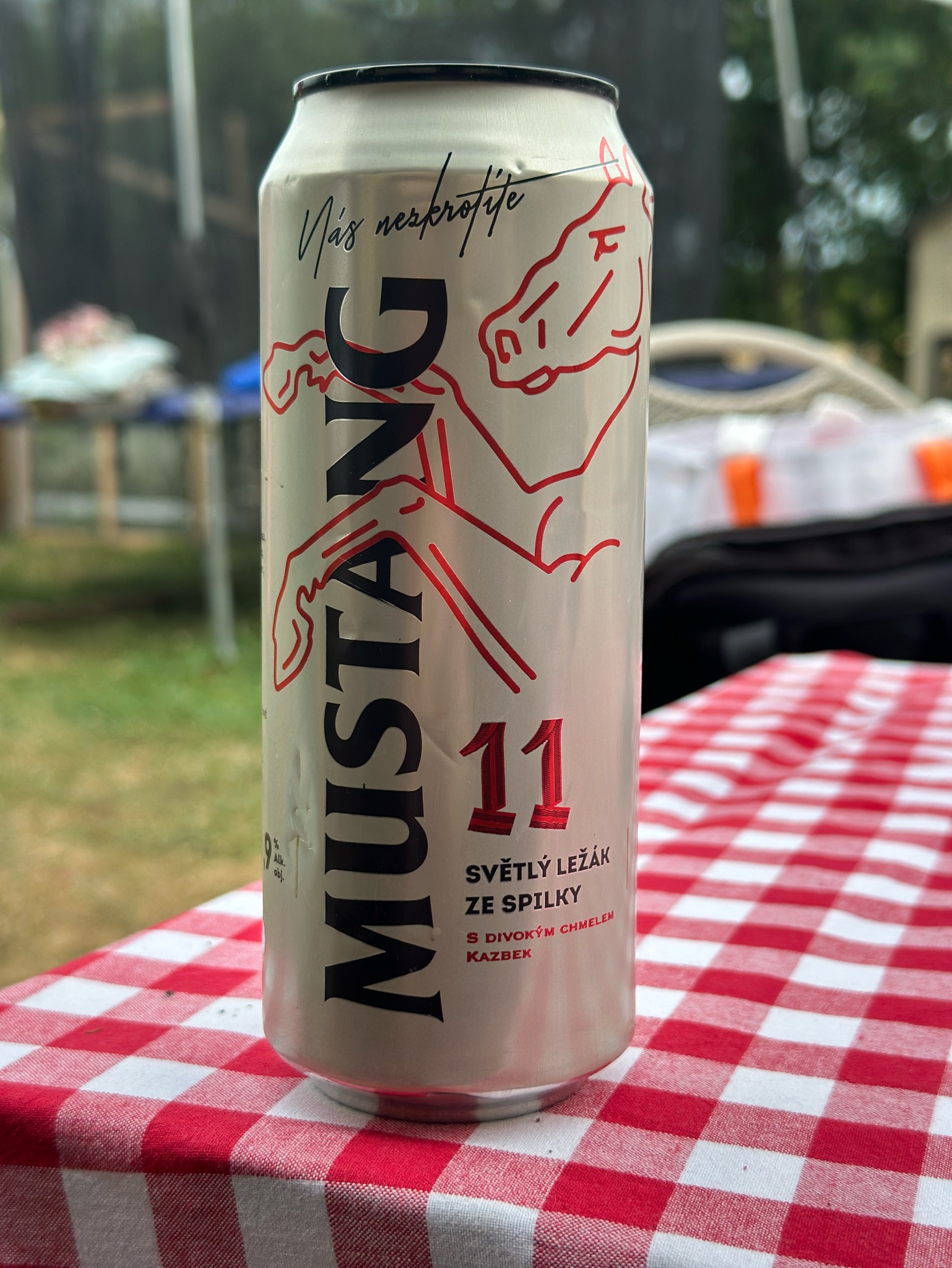 Mustang 11, Czech Republic