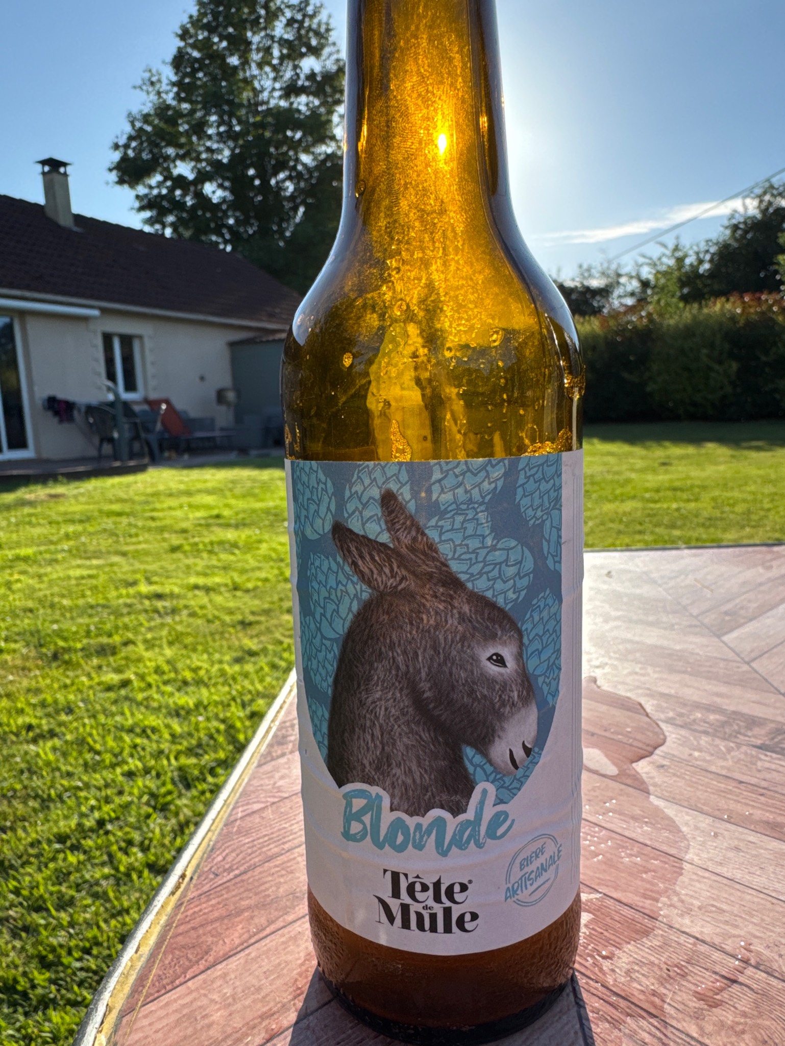 Tête De Mule Blonde, France