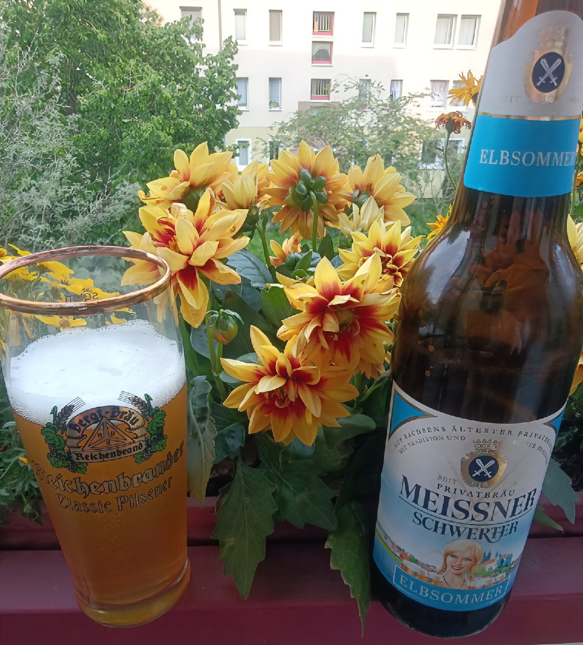 Elbsommer, Privatbrauerei Schwerter Meißen