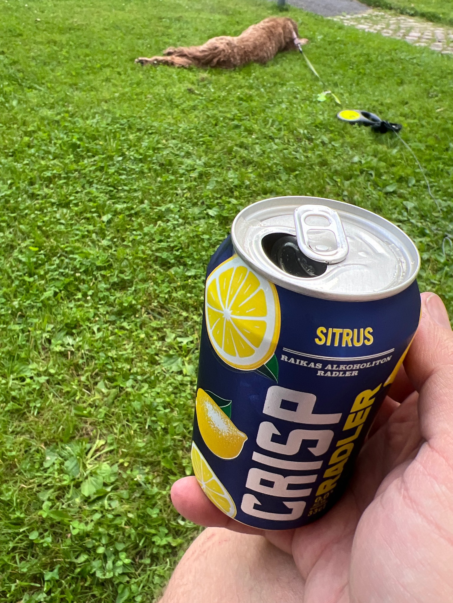 Crisp Radler Sitrus, Finland