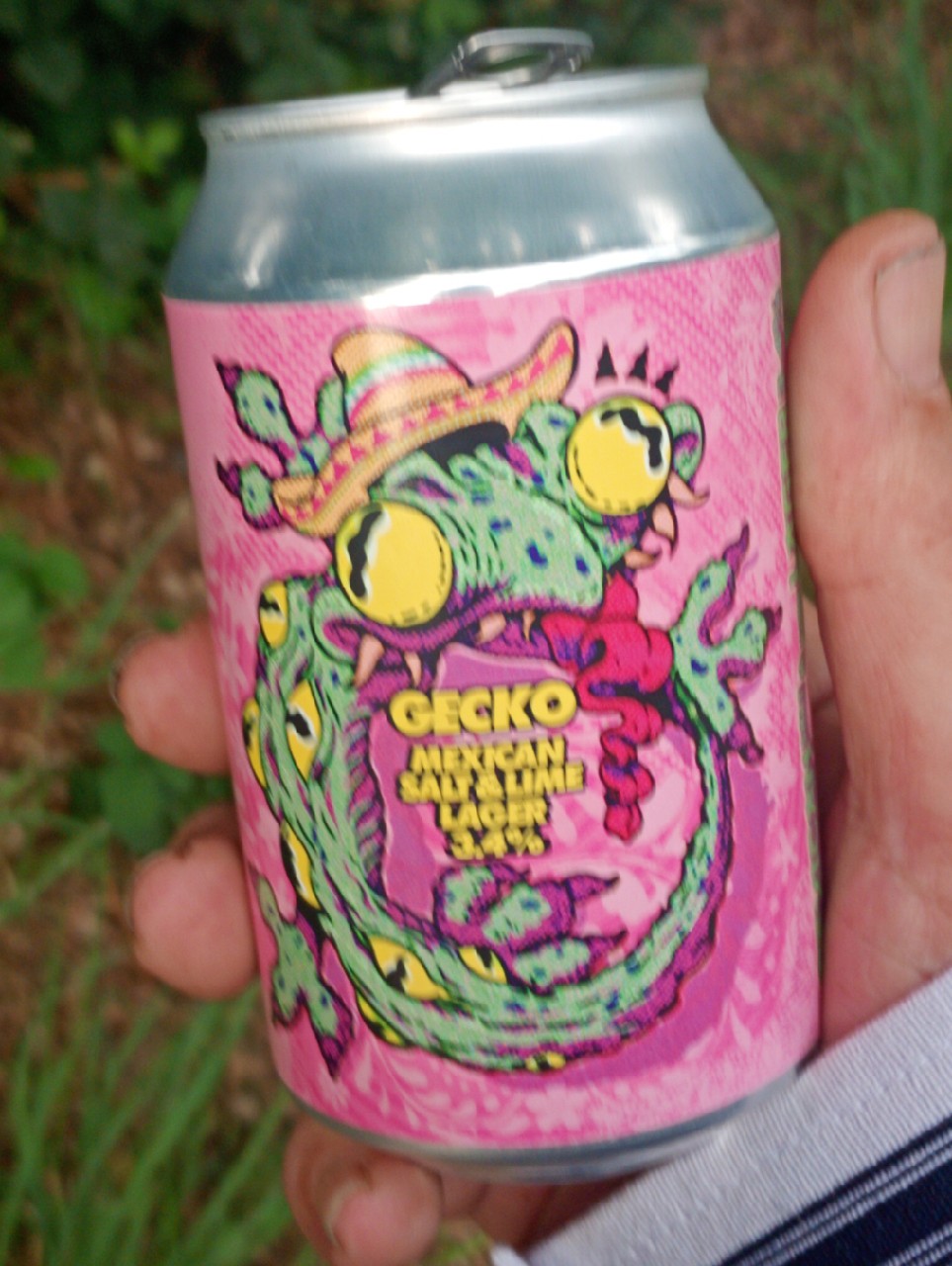 Gecko, Bad News Beer Company